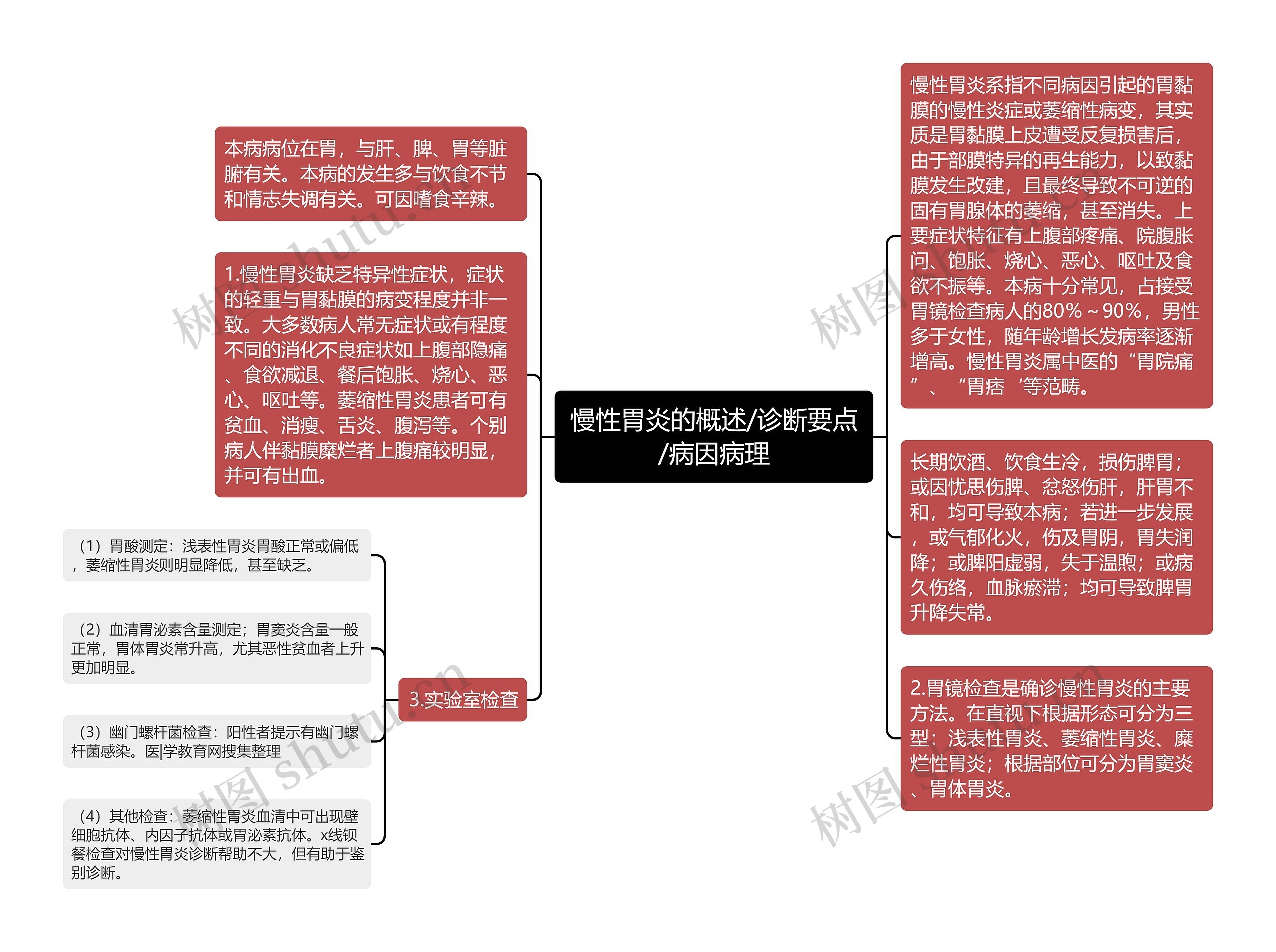 慢性胃炎的概述/诊断要点/病因病理思维导图