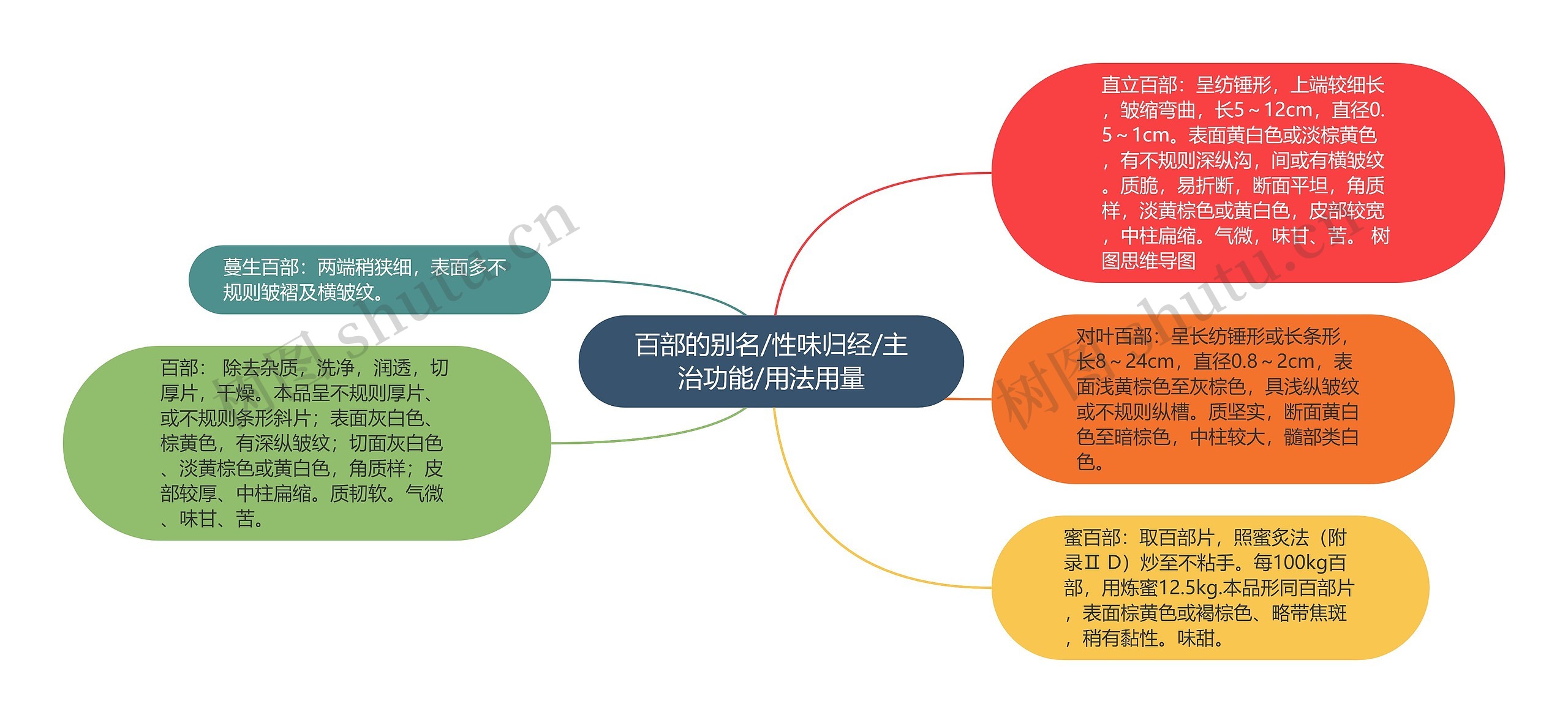 百部的别名/性味归经/主治功能/用法用量思维导图