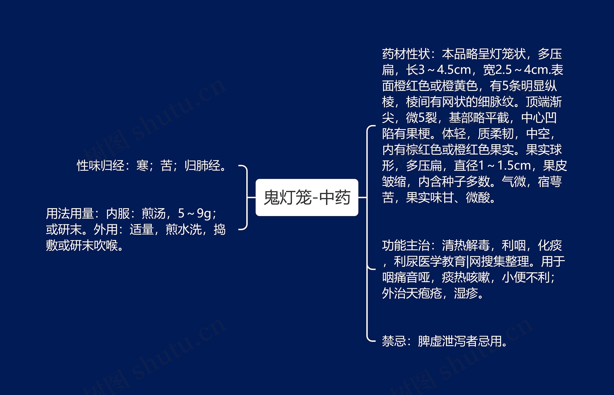 鬼灯笼-中药 鬼灯笼-中药