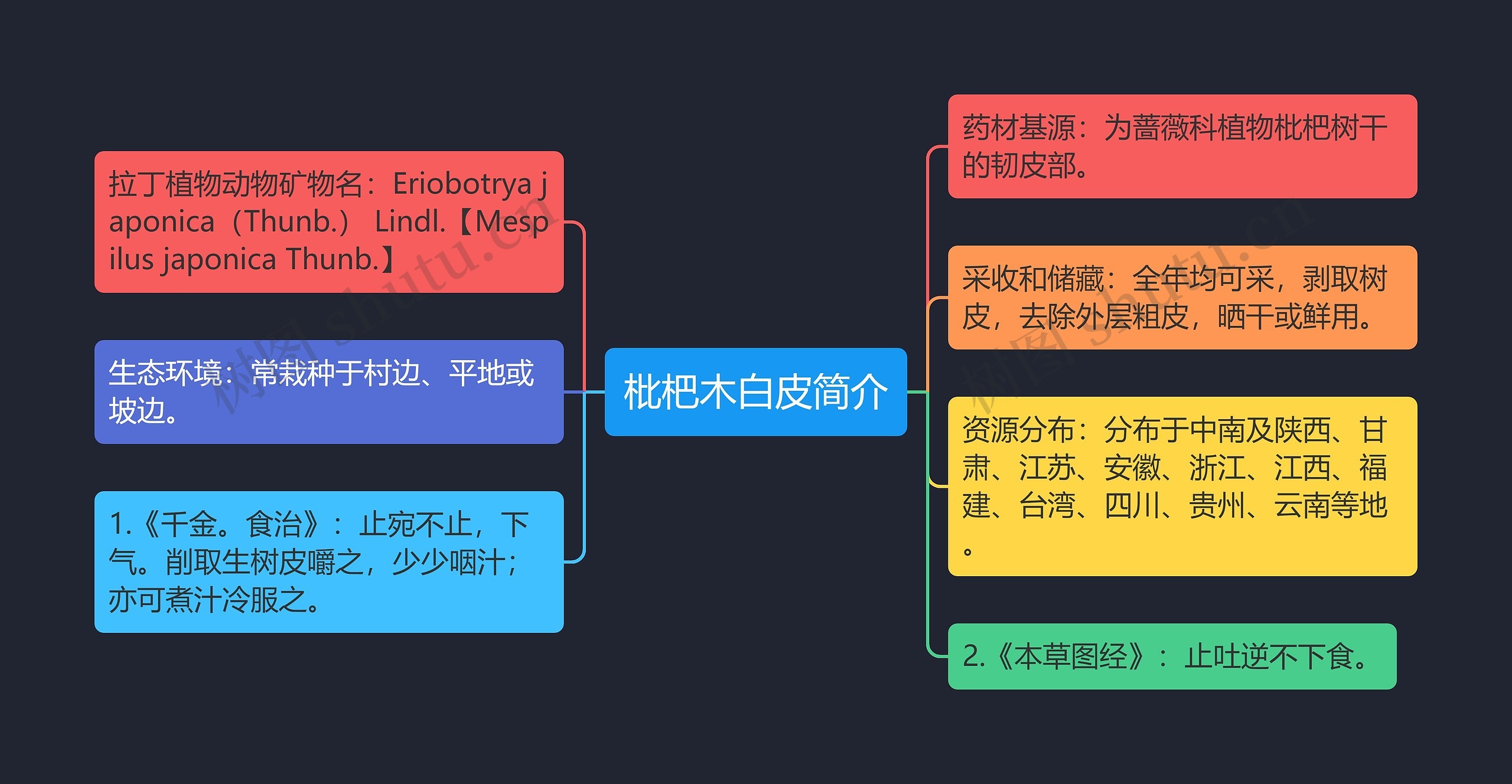 枇杷木白皮简介思维导图