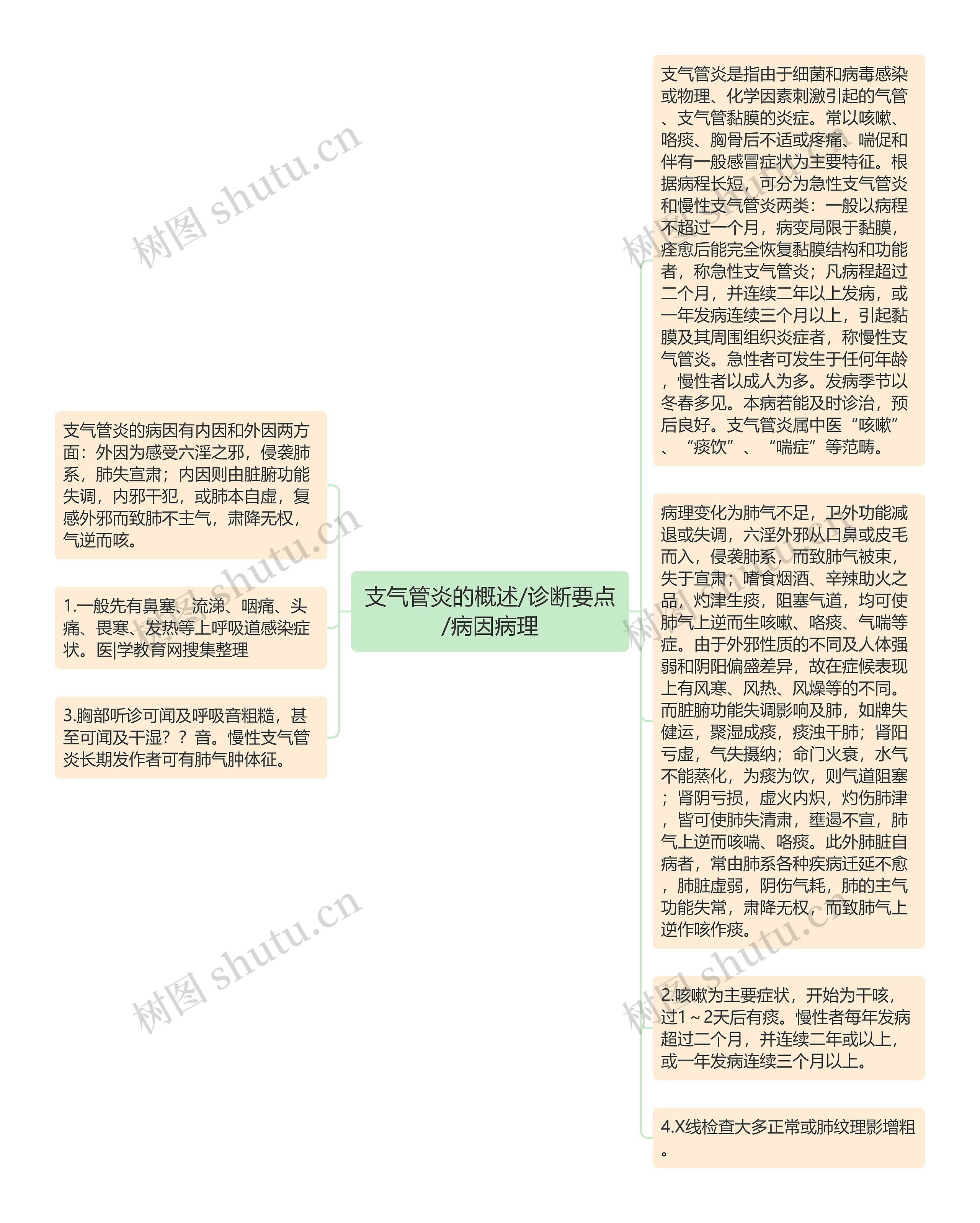 支气管炎的概述/诊断要点/病因病理