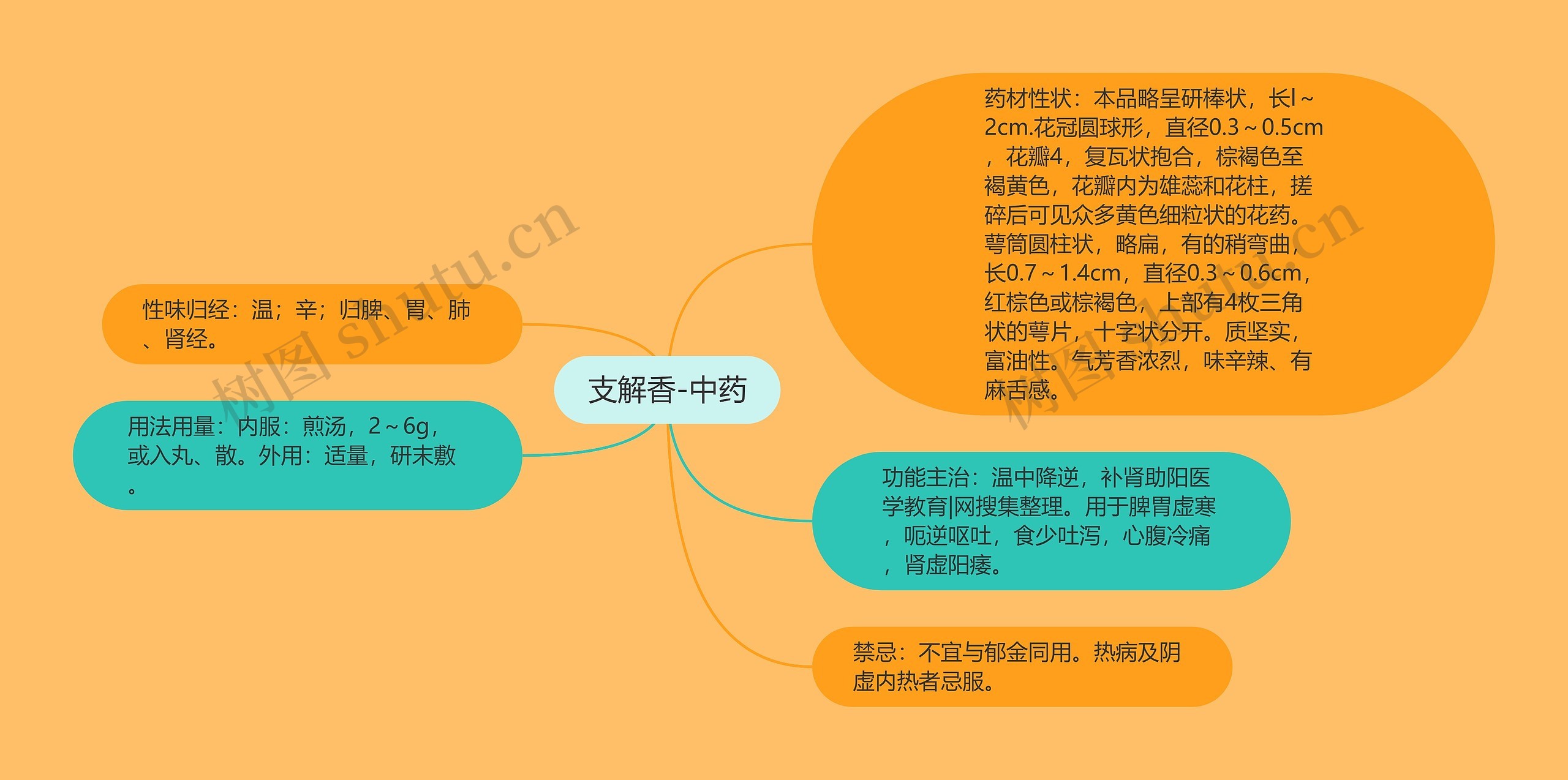 支解香-中药思维导图