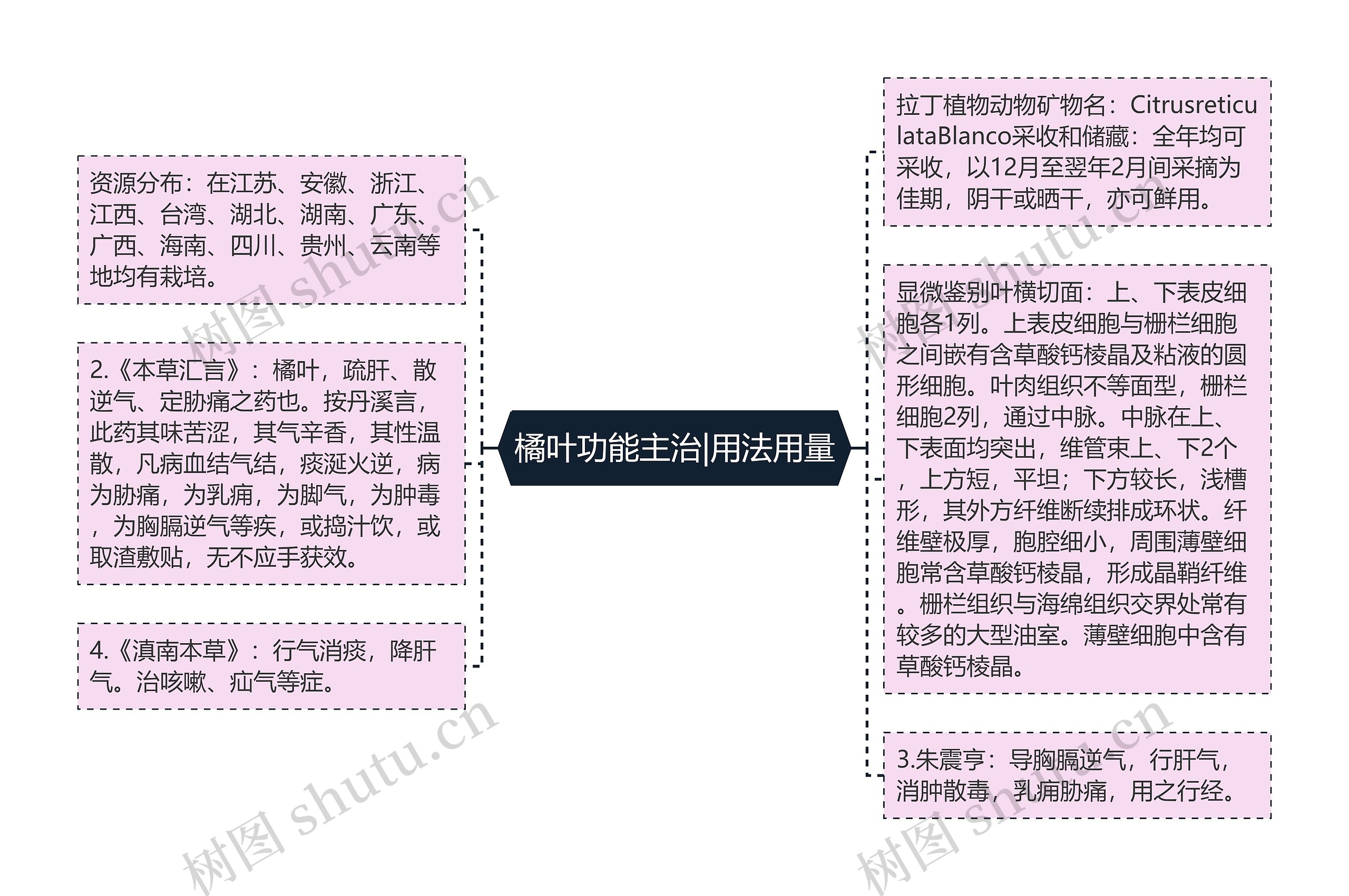 橘叶功能主治|用法用量