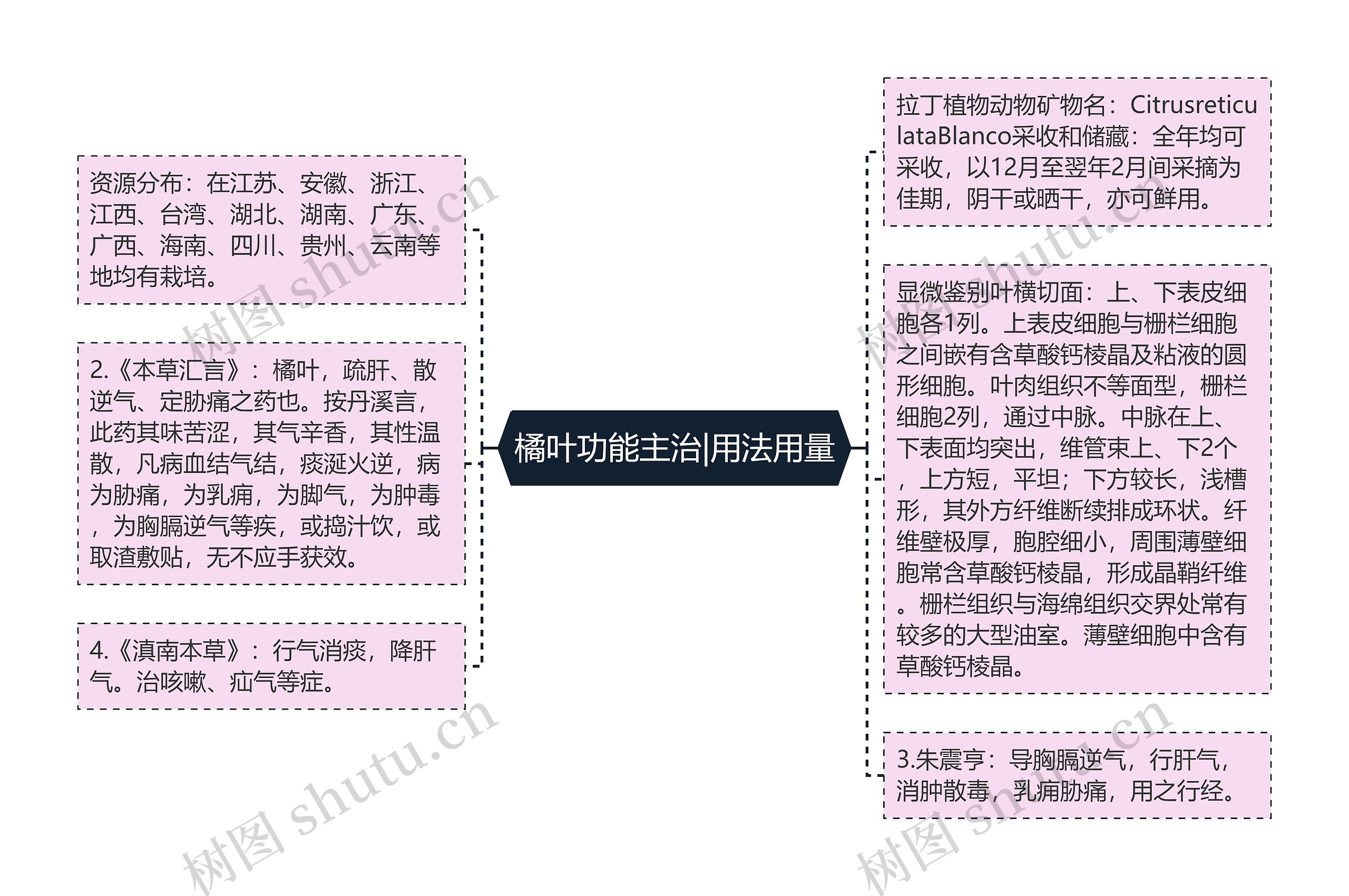 橘叶功能主治|用法用量思维导图