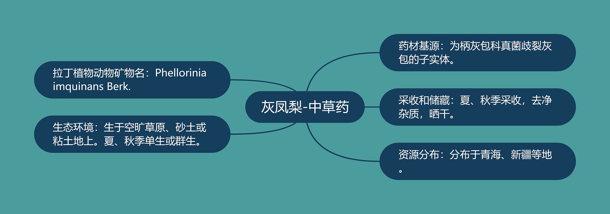 灰凤梨-中草药思维导图