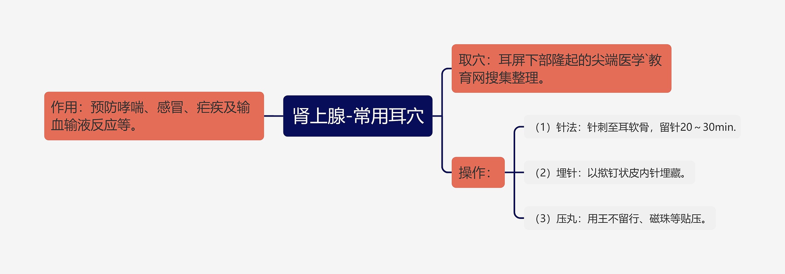 肾上腺-常用耳穴