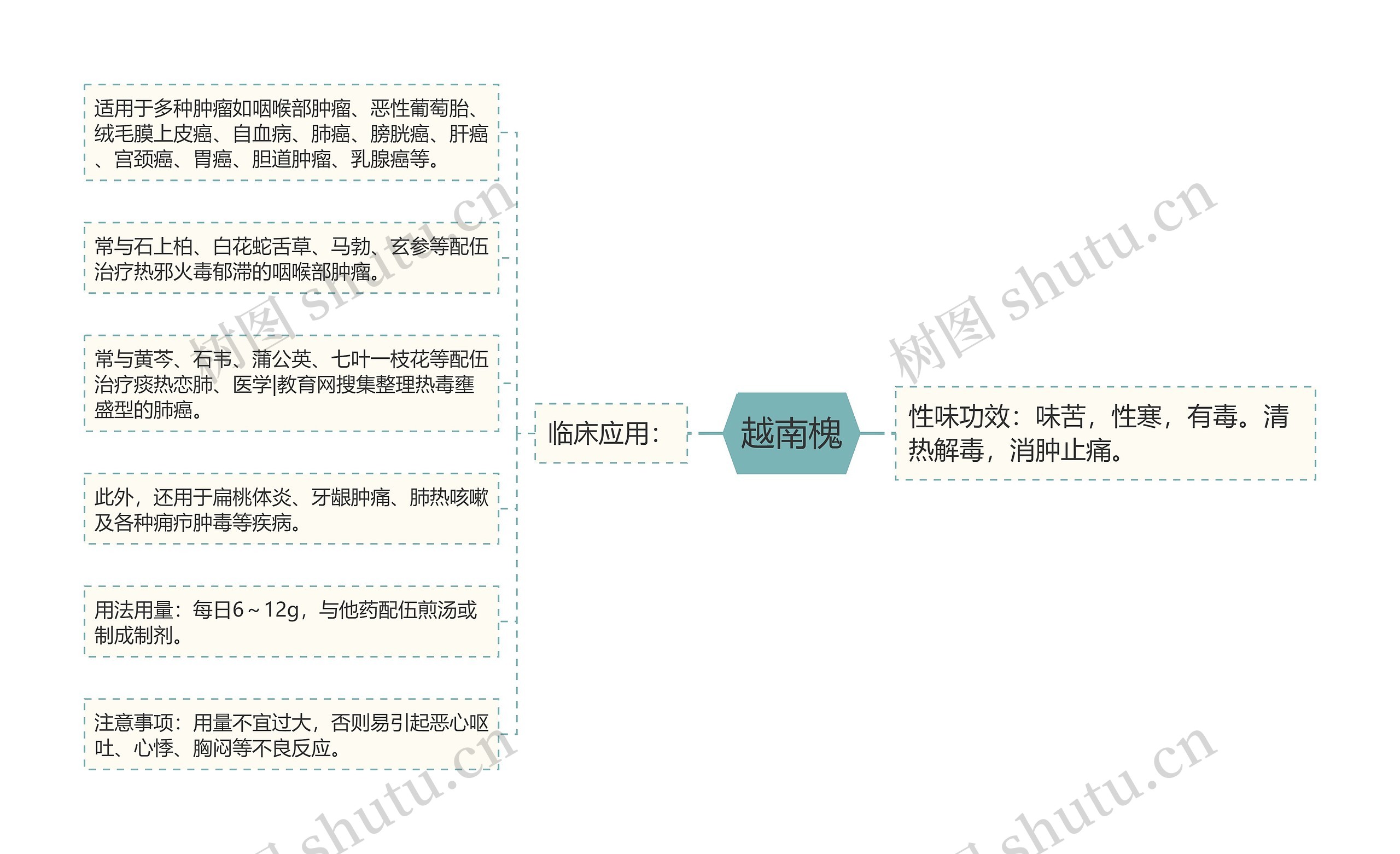 越南槐思维导图