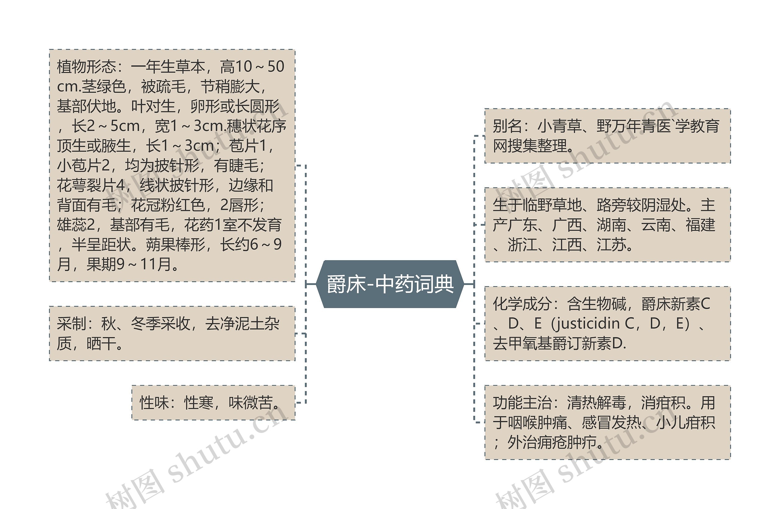 爵床-中药词典思维导图