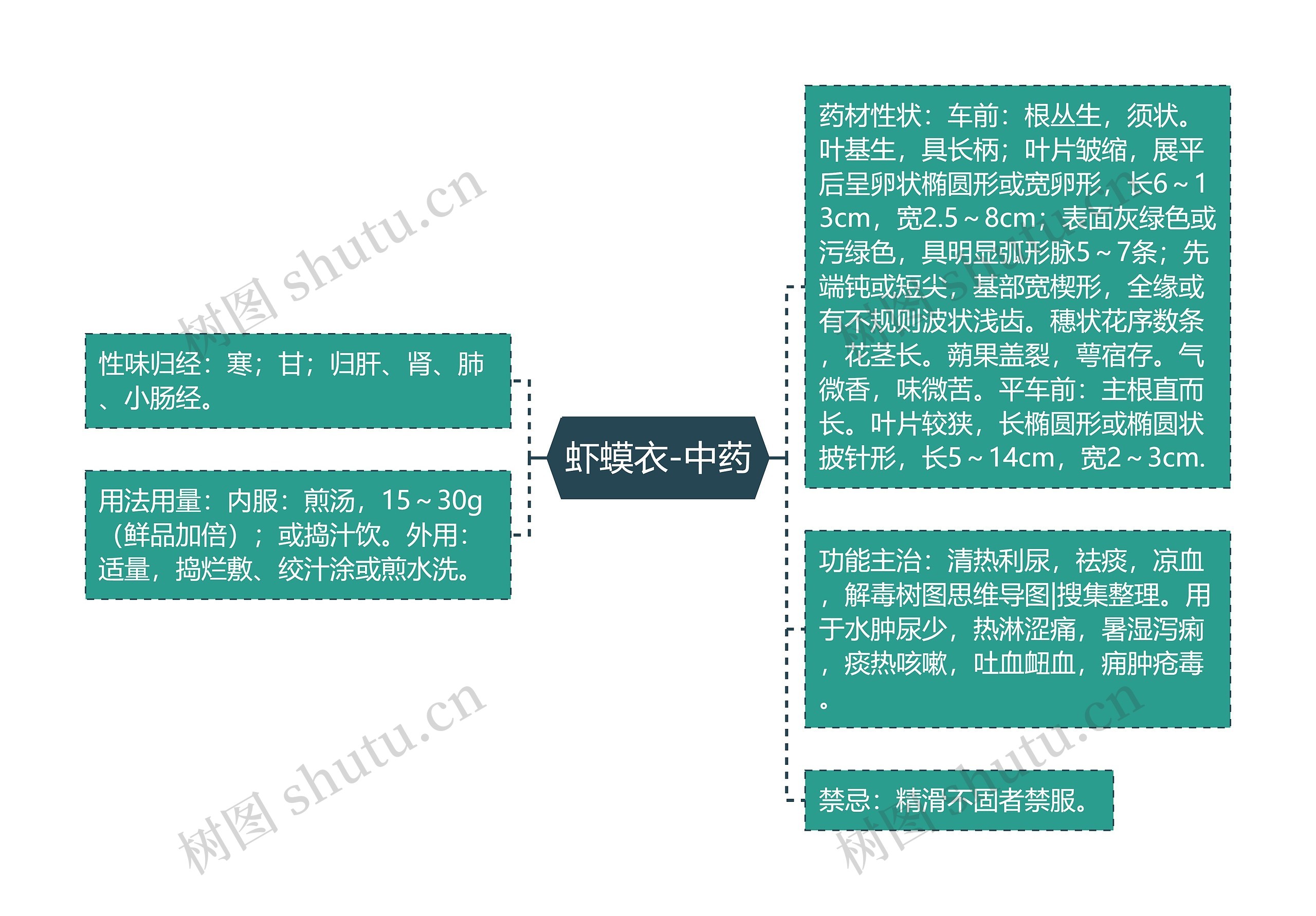 虾蟆衣-中药思维导图