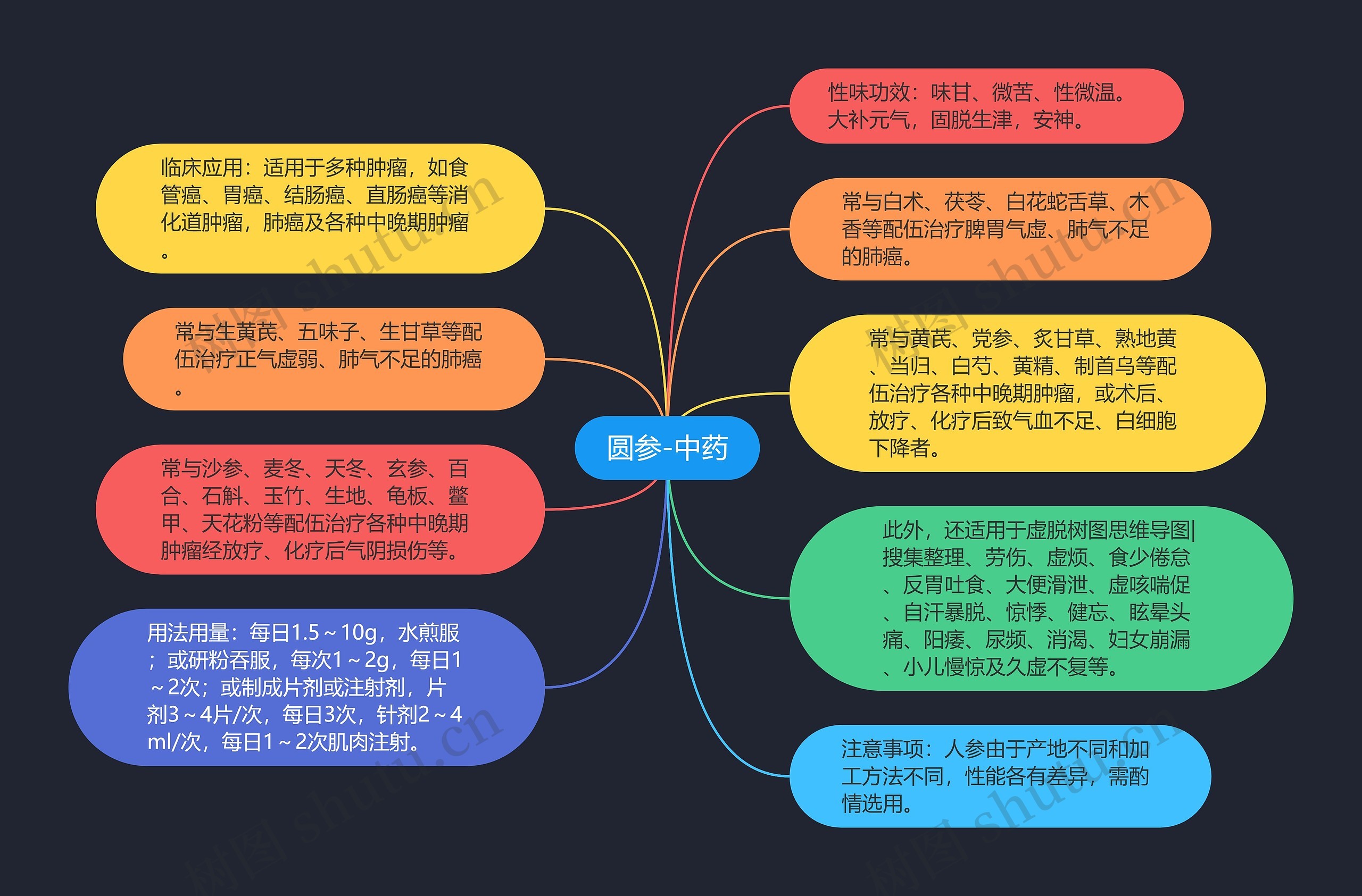 圆参-中药思维导图