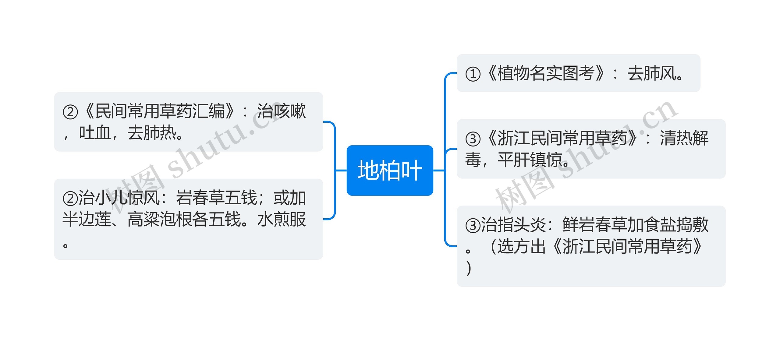 地柏叶思维导图