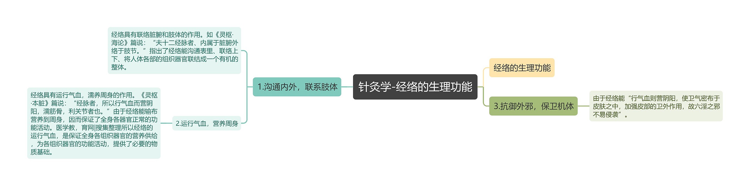 针灸学-经络的生理功能 针灸学-经络的生理功能