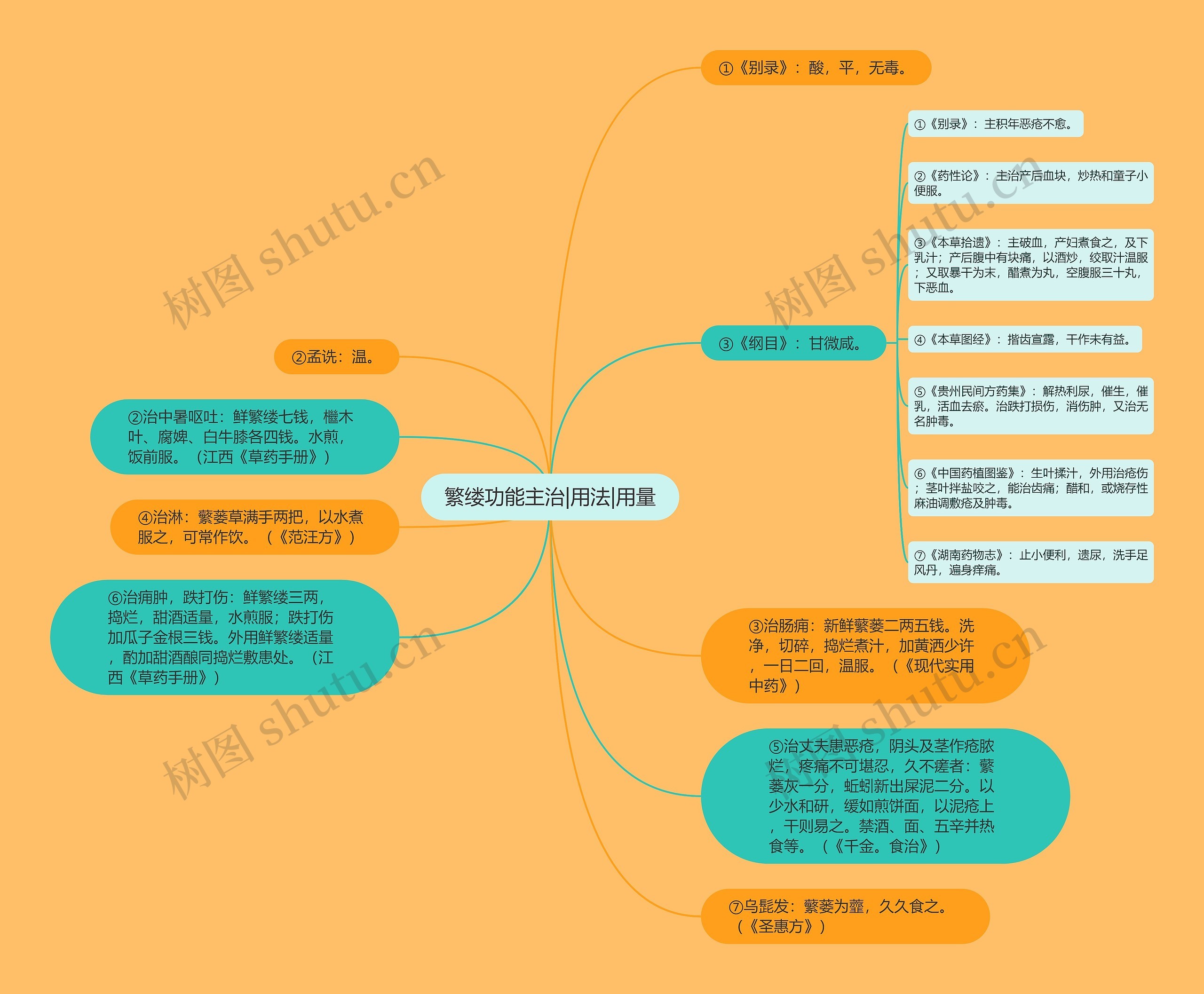 繁缕功能主治|用法|用量 繁缕功能主治|用法|用量