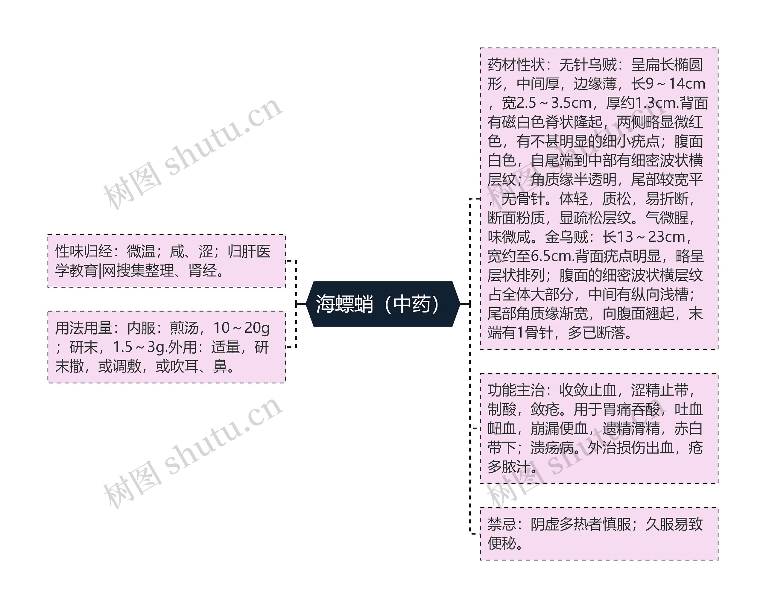 海螵蛸（中药）思维导图