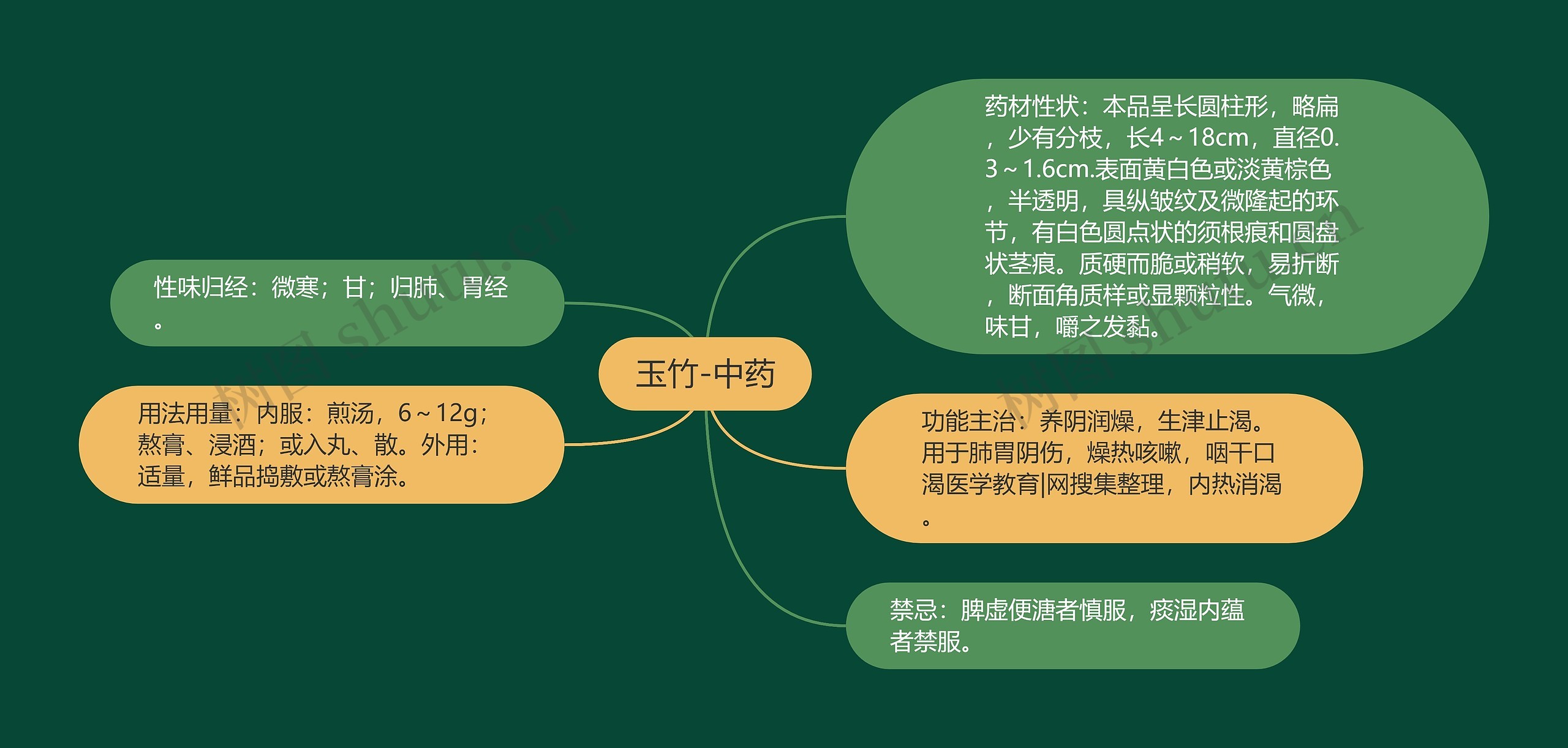 玉竹-中药 玉竹-中药