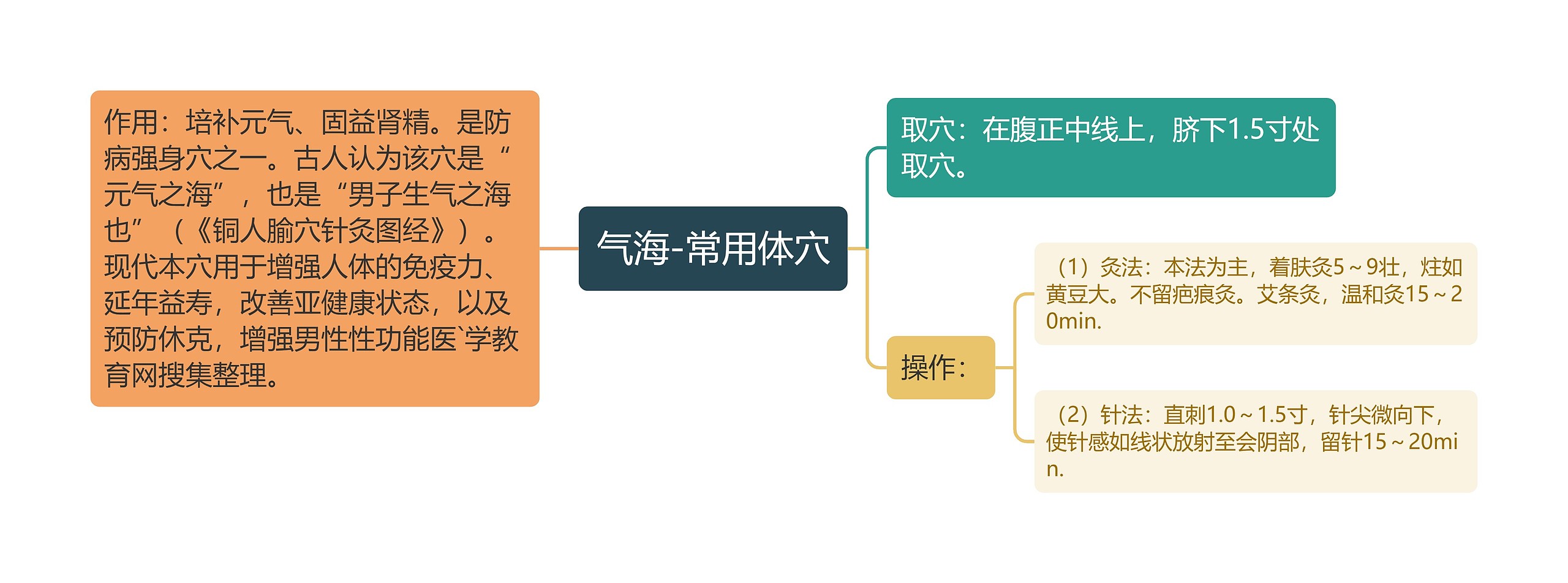 气海-常用体穴思维导图