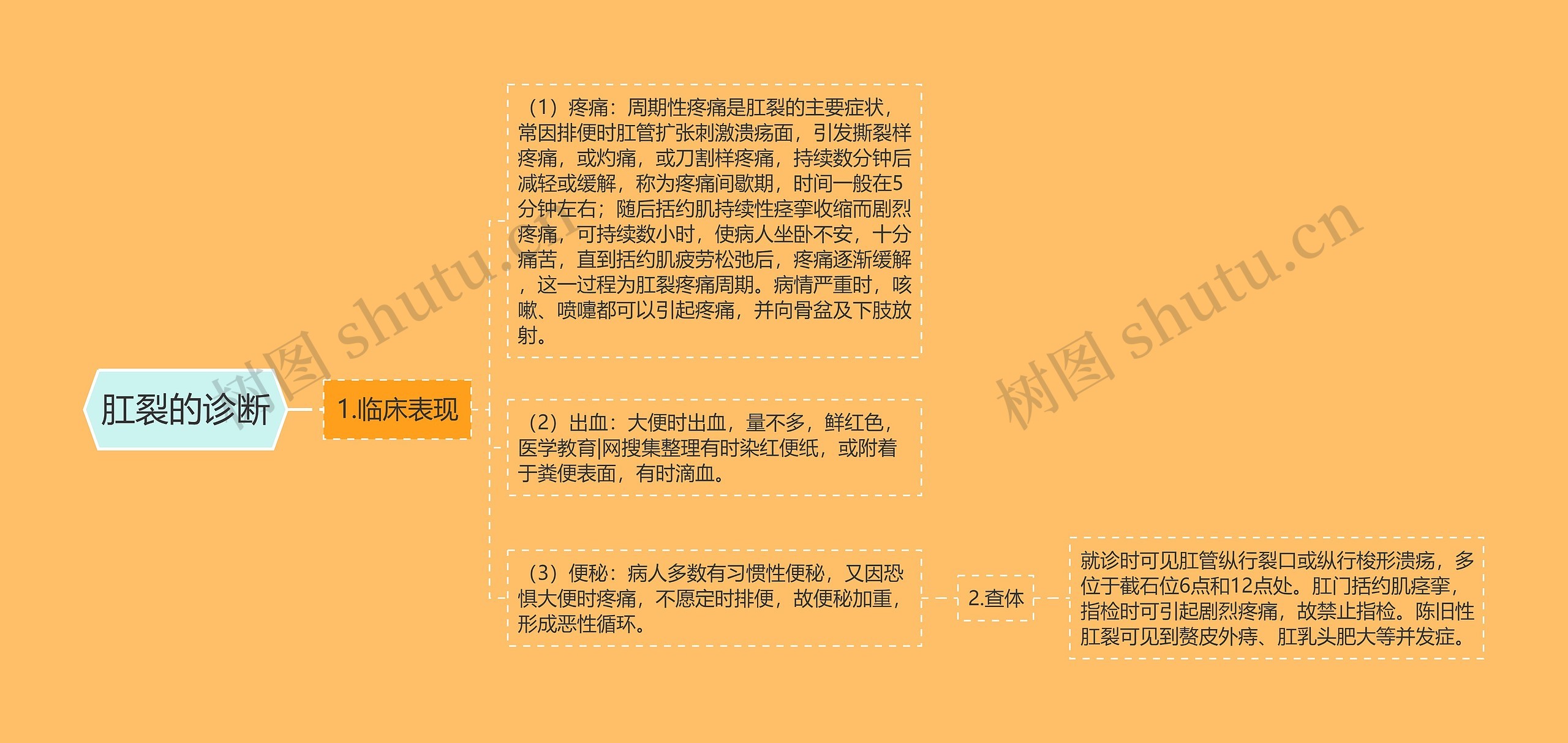 肛裂的诊断 肛裂的诊断