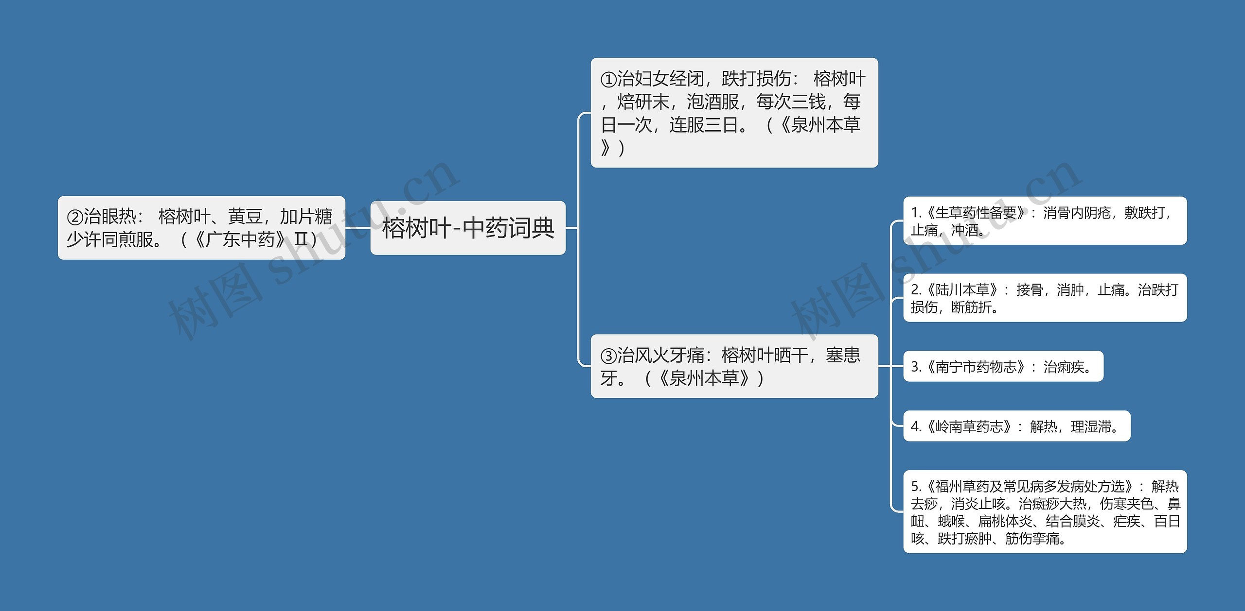 榕树叶-中药词典思维导图