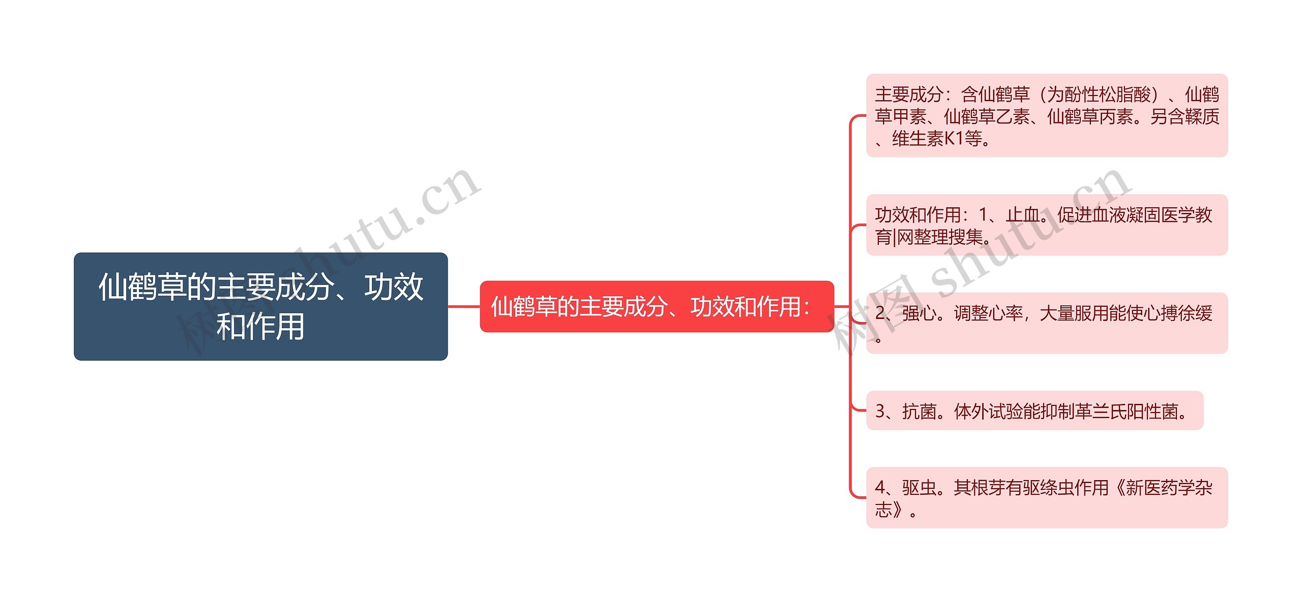 仙鹤草的主要成分、功效和作用思维导图