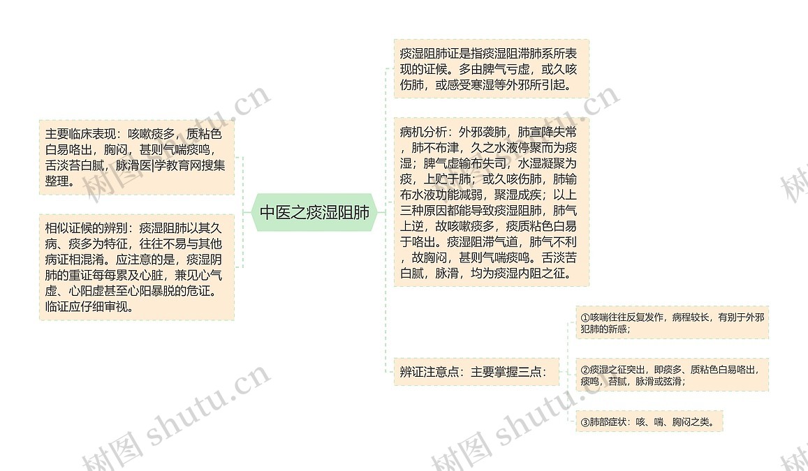 中医之痰湿阻肺思维导图_编号p6994714-TreeMind树图