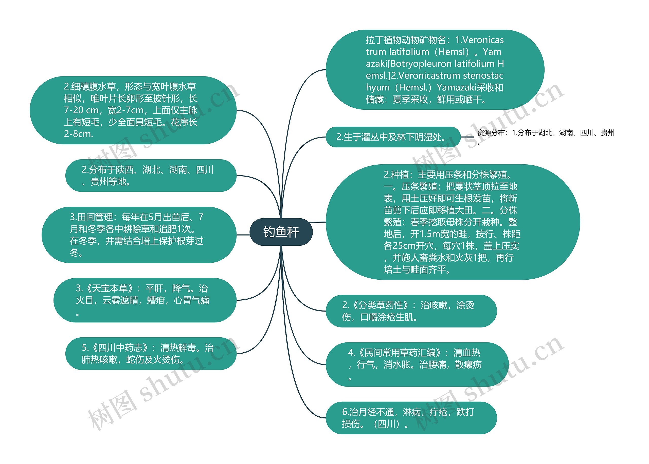 钓鱼秆思维导图