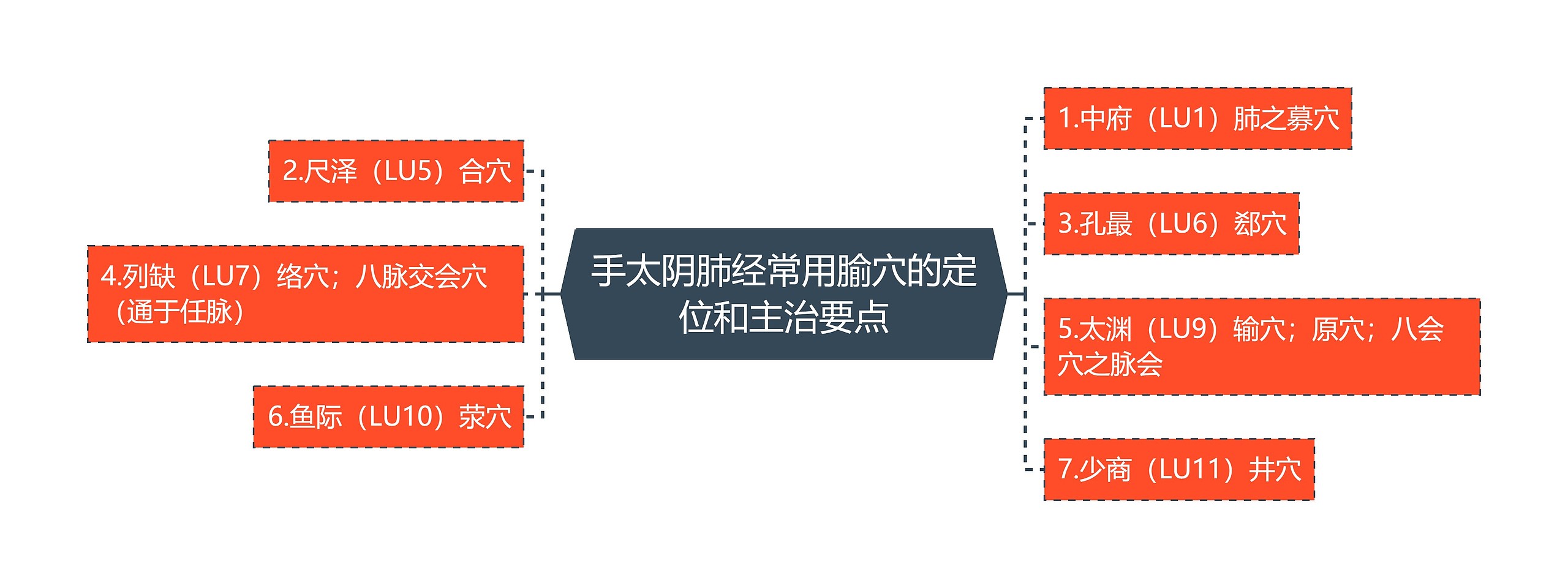 手太阴肺经常用腧穴的定位和主治要点