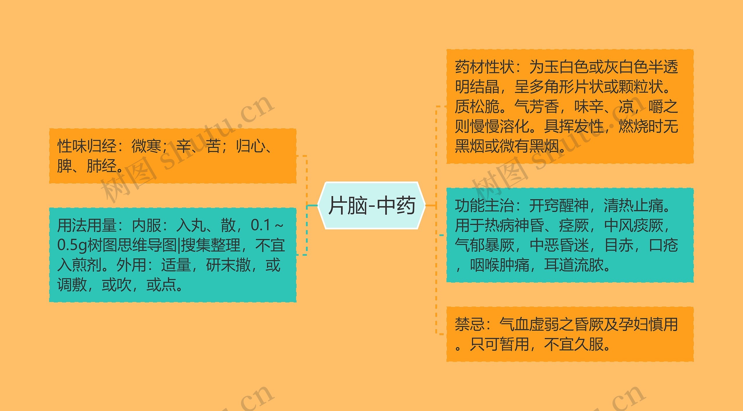 片脑-中药 片脑-中药