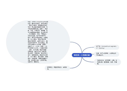 根茎类—大苞鞘石斛