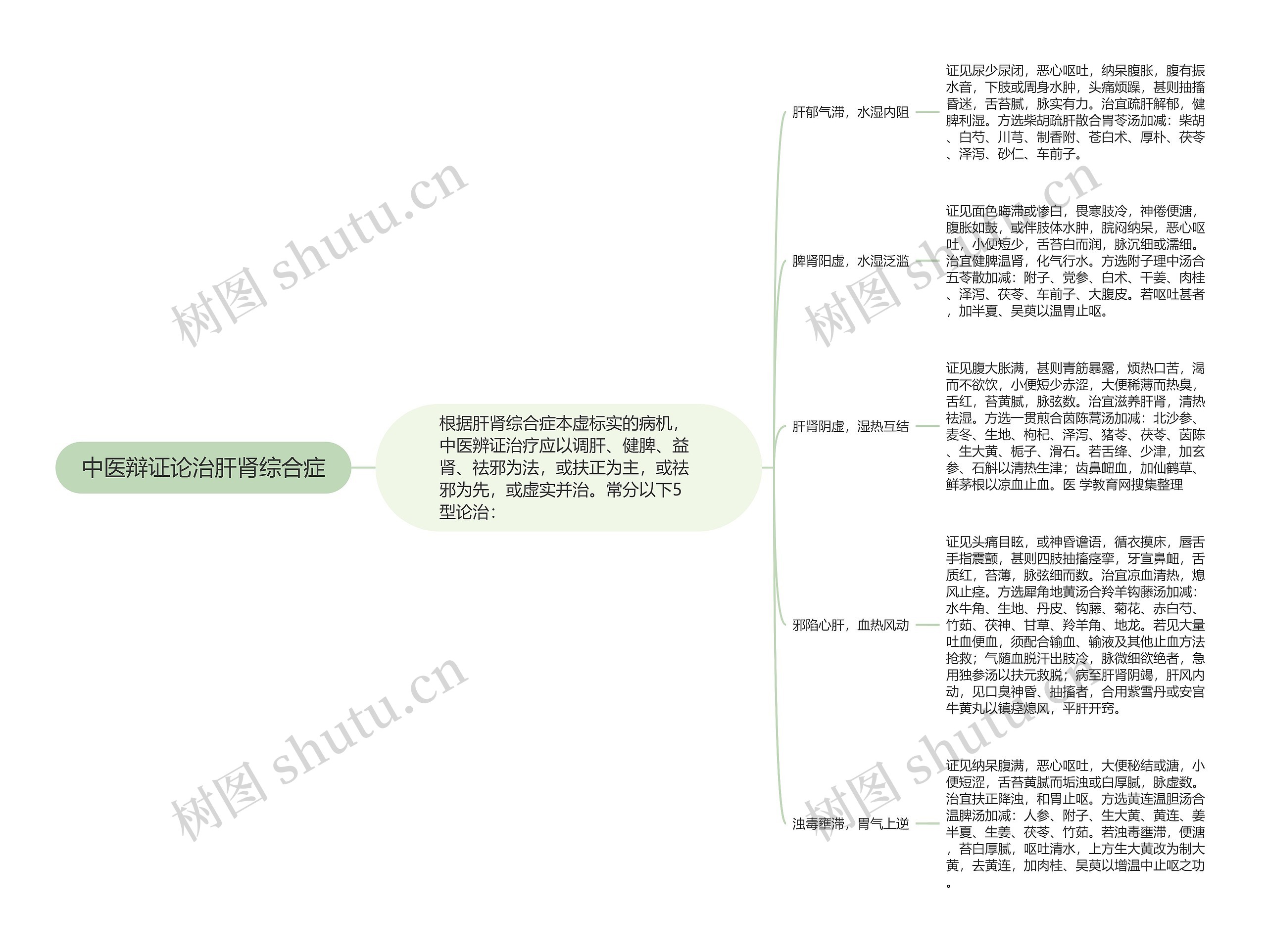 中医辩证论治肝肾综合症 中医辩证论治肝肾综合症