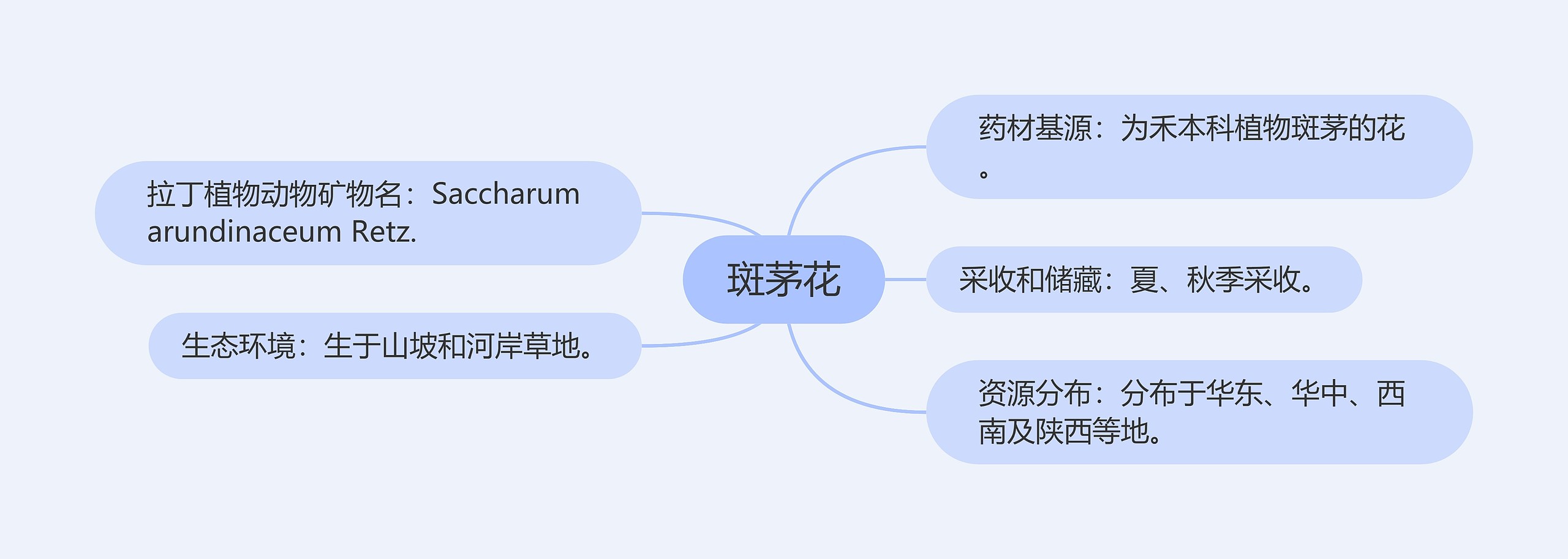 斑茅花思维导图