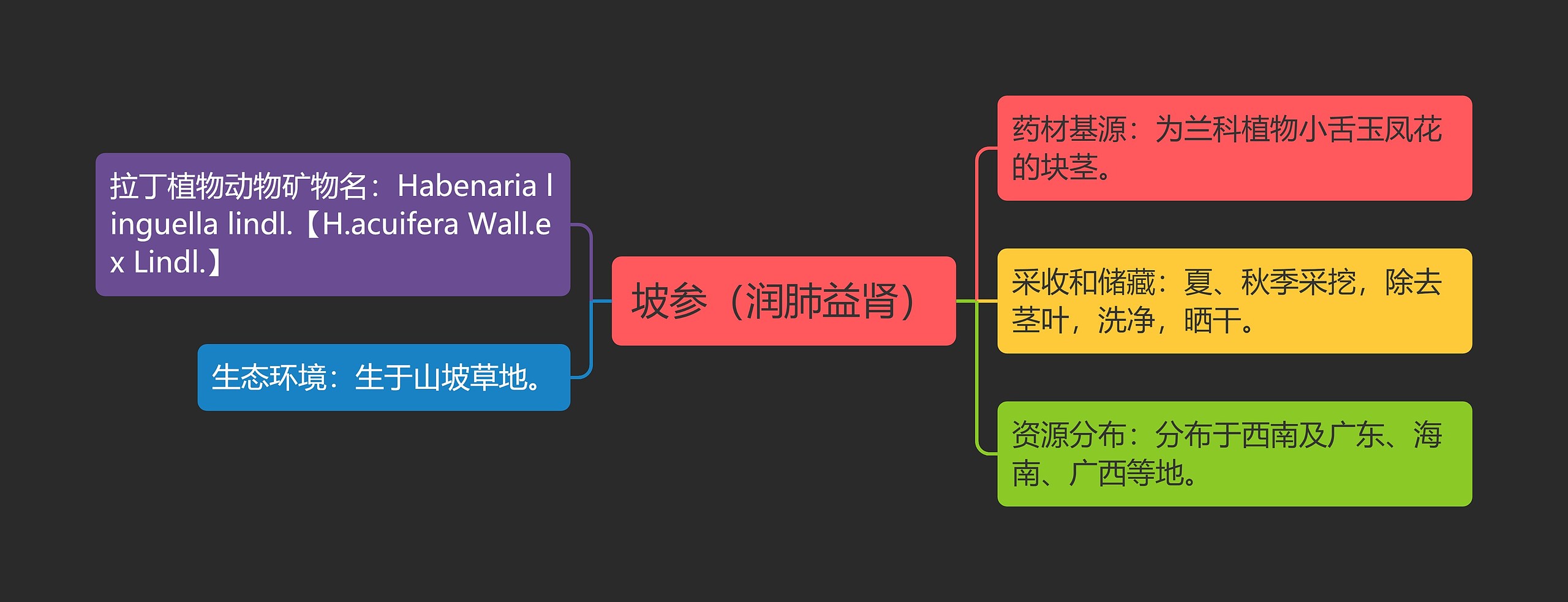 坡参（润肺益肾）思维导图