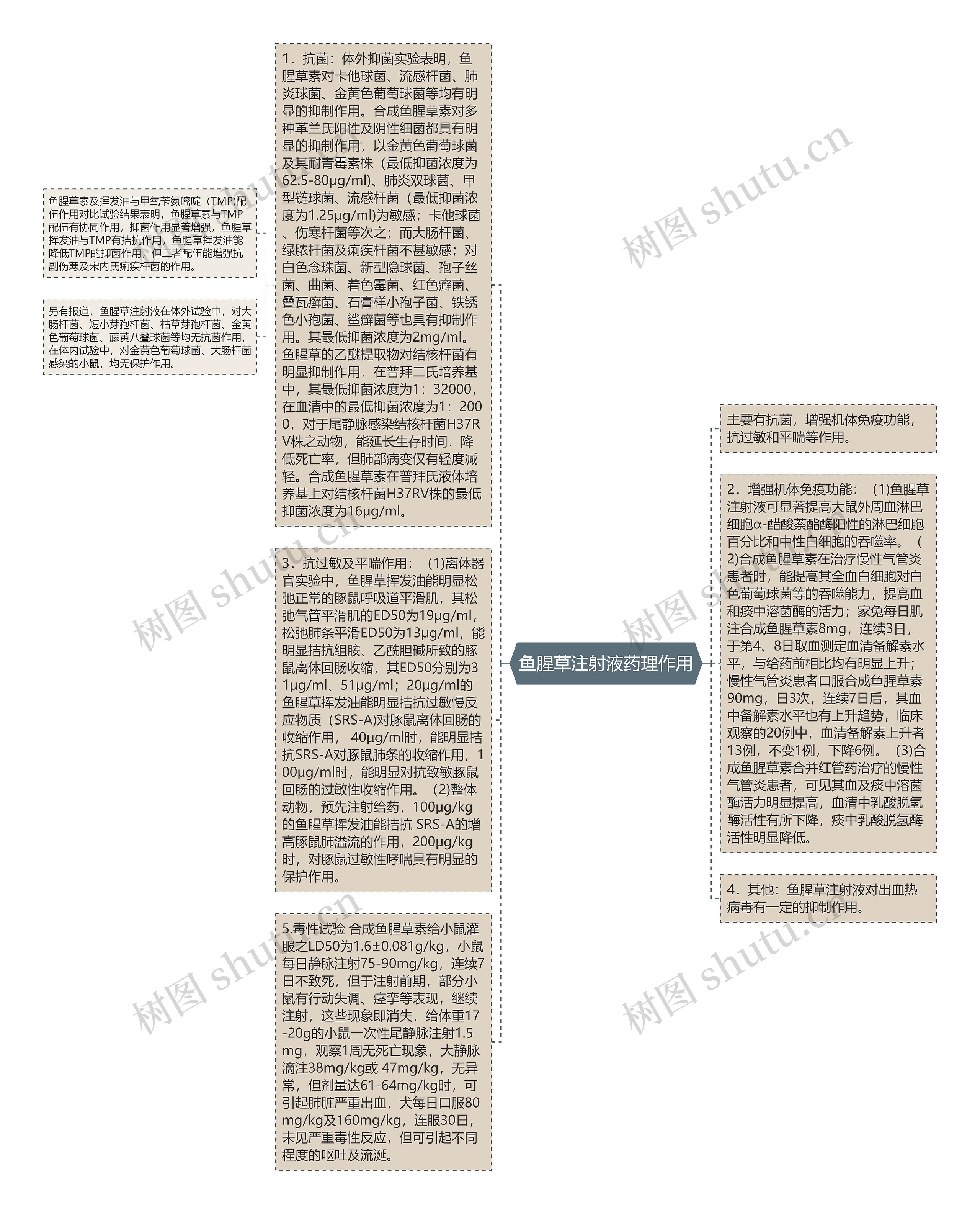 鱼腥草注射液药理作用思维导图