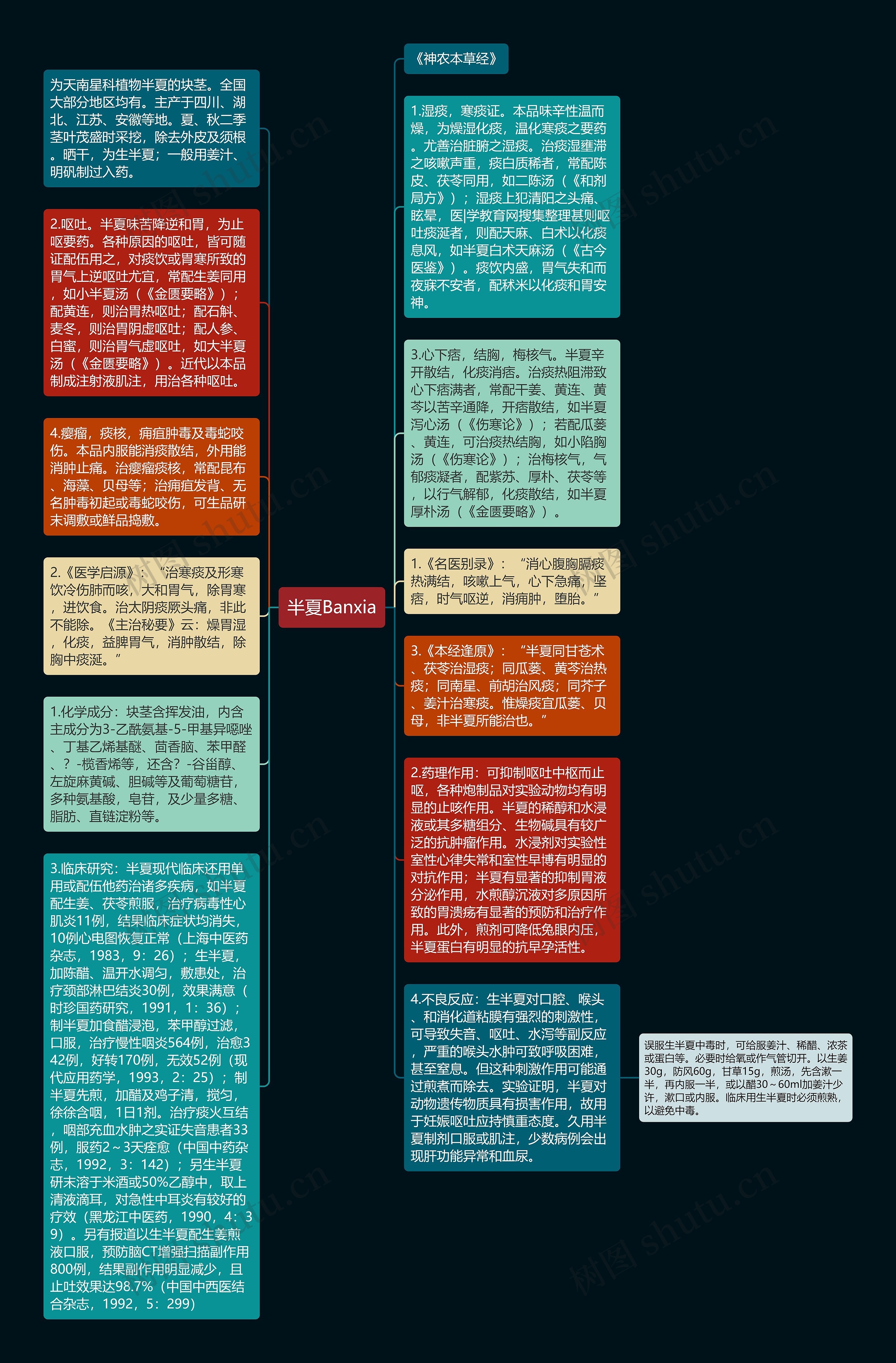 半夏Banxia思维导图