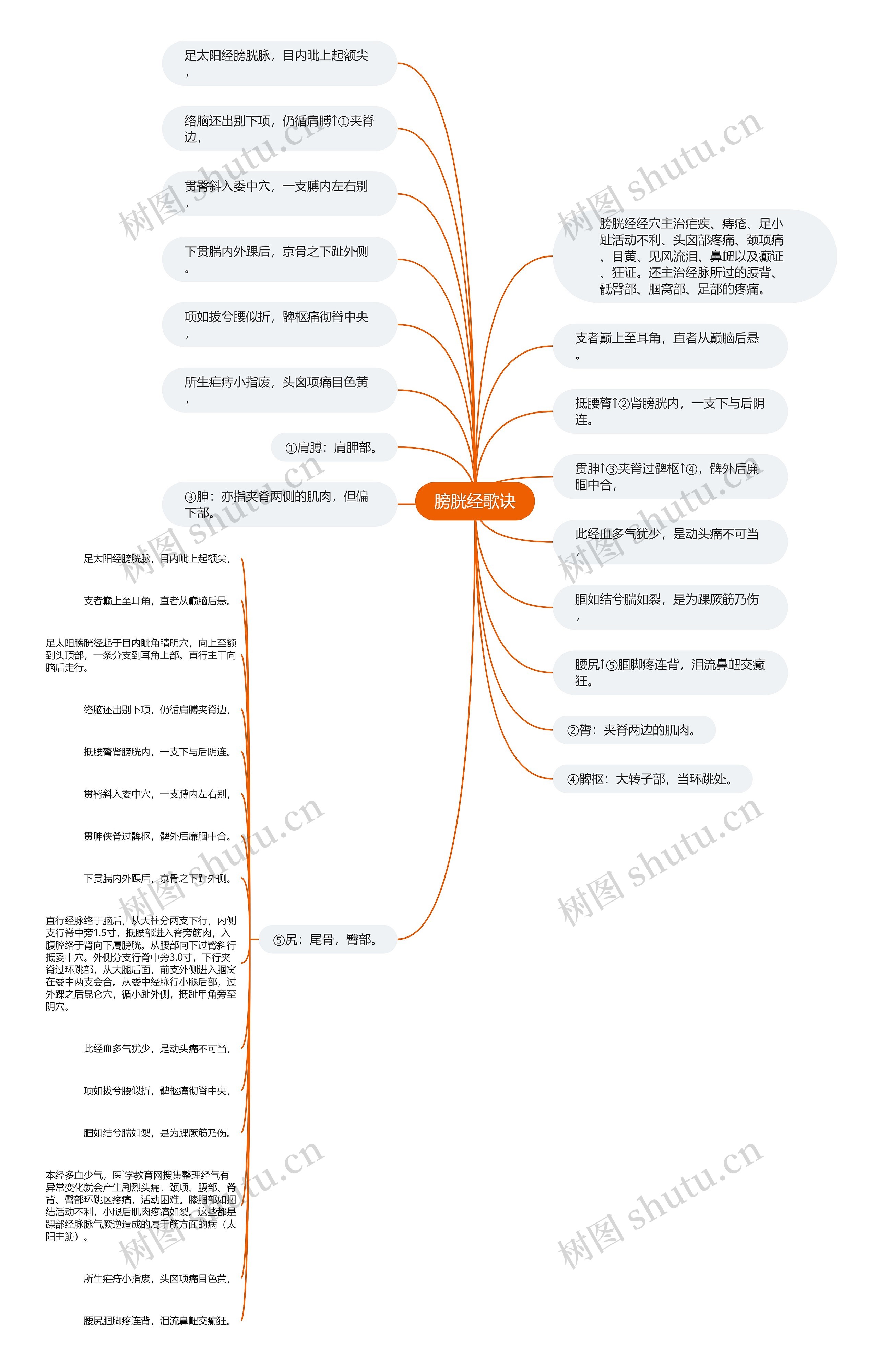 膀胱经歌诀思维导图