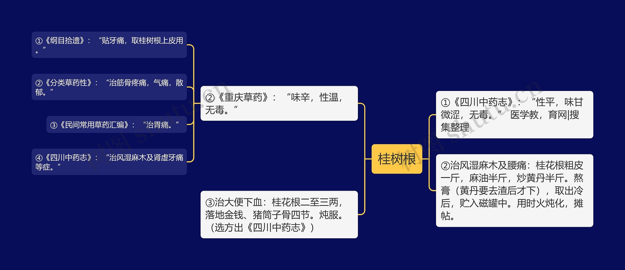 桂树根思维导图