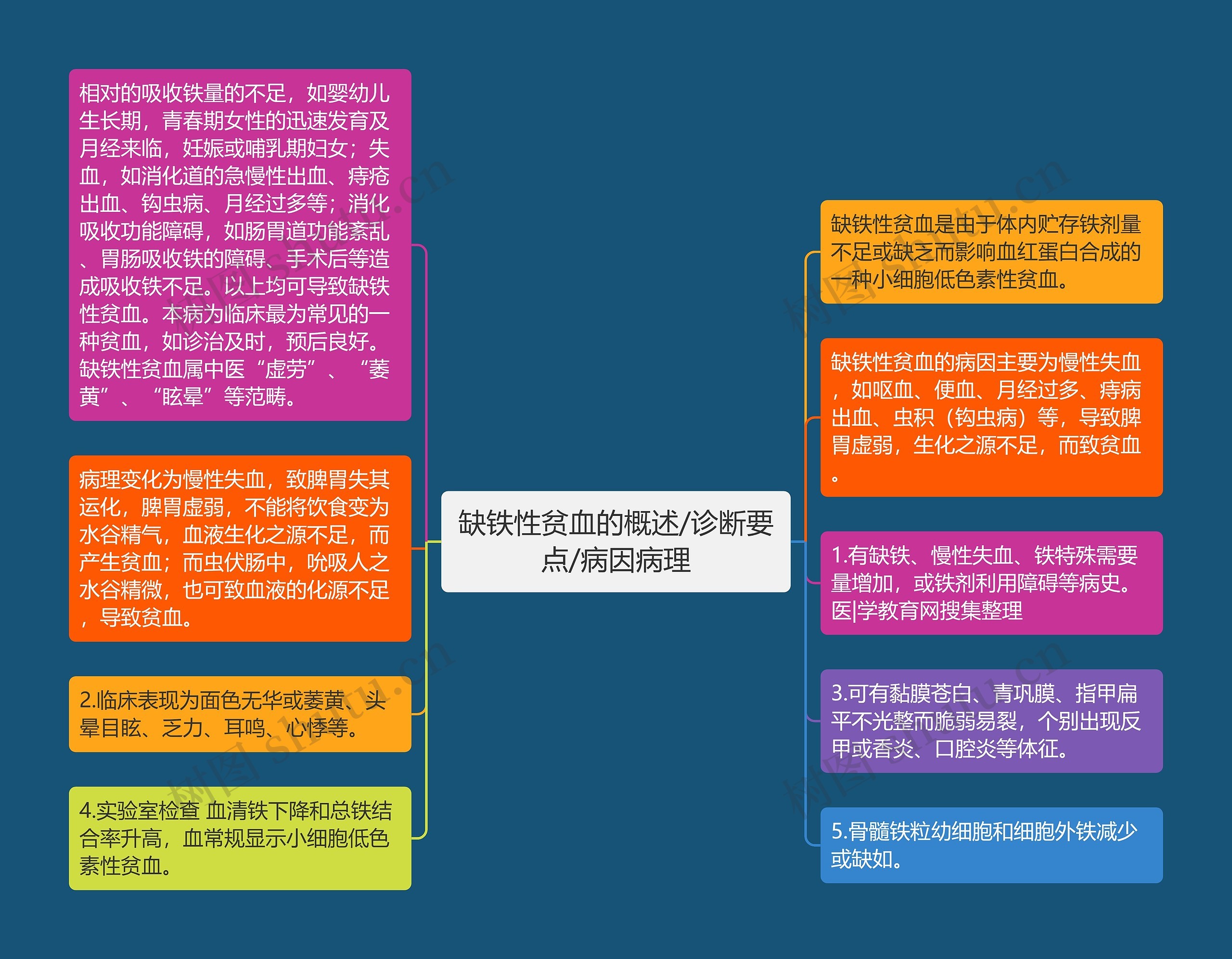 缺铁性贫血的概述/诊断要点/病因病理