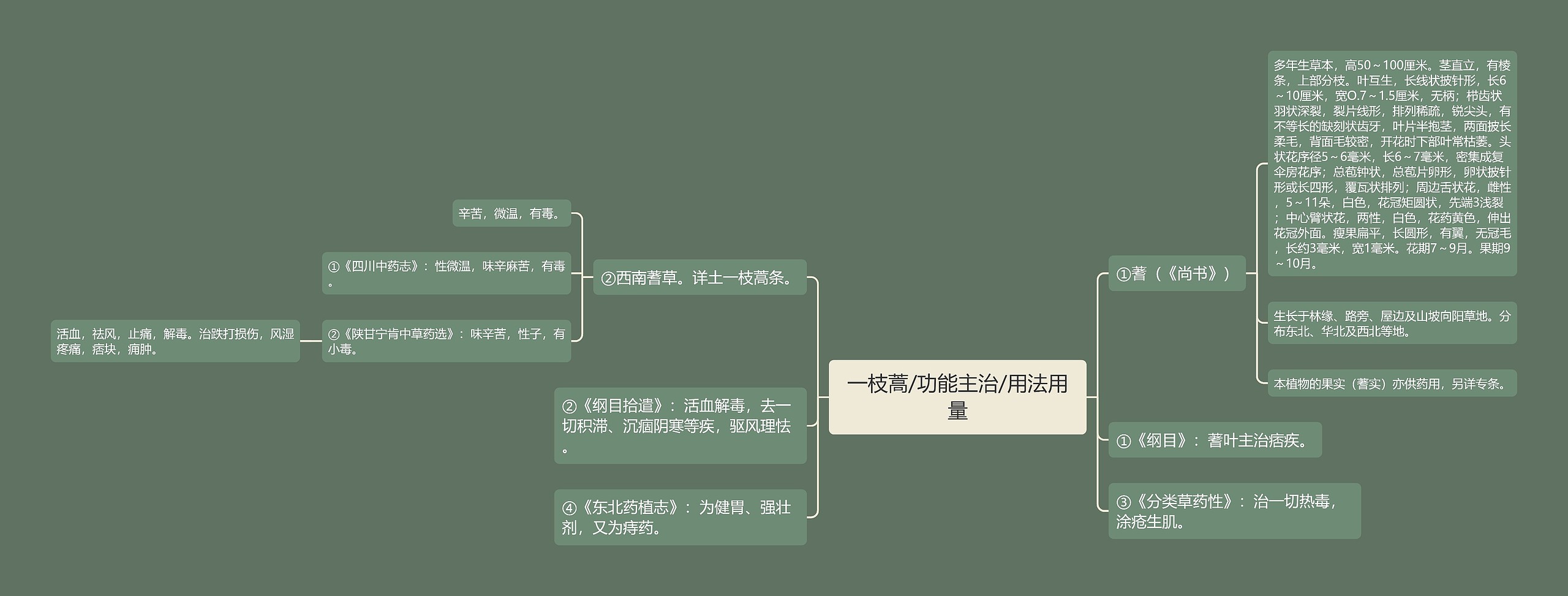 一枝蒿/功能主治/用法用量思维导图