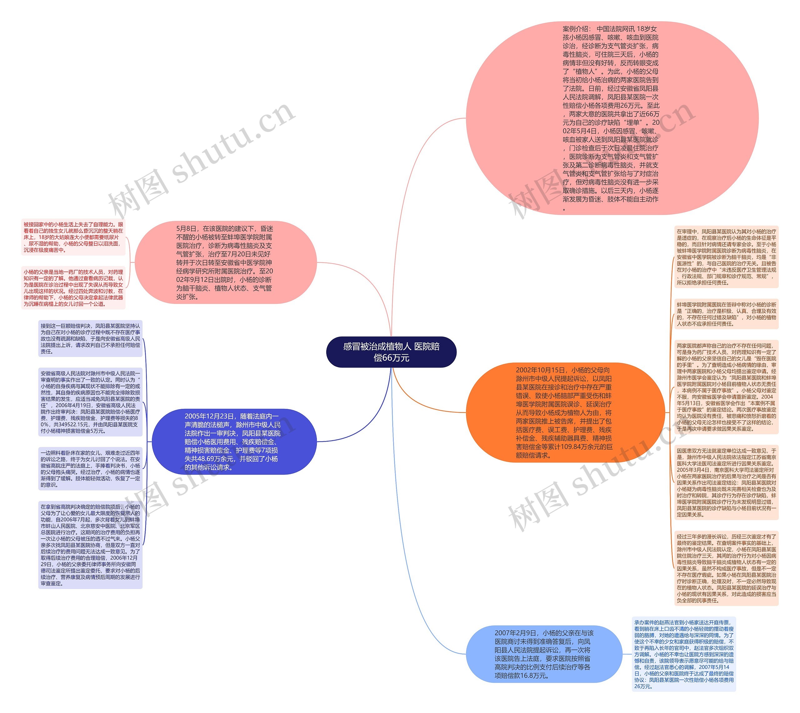 感冒被治成植物人 医院赔偿66万元思维导图