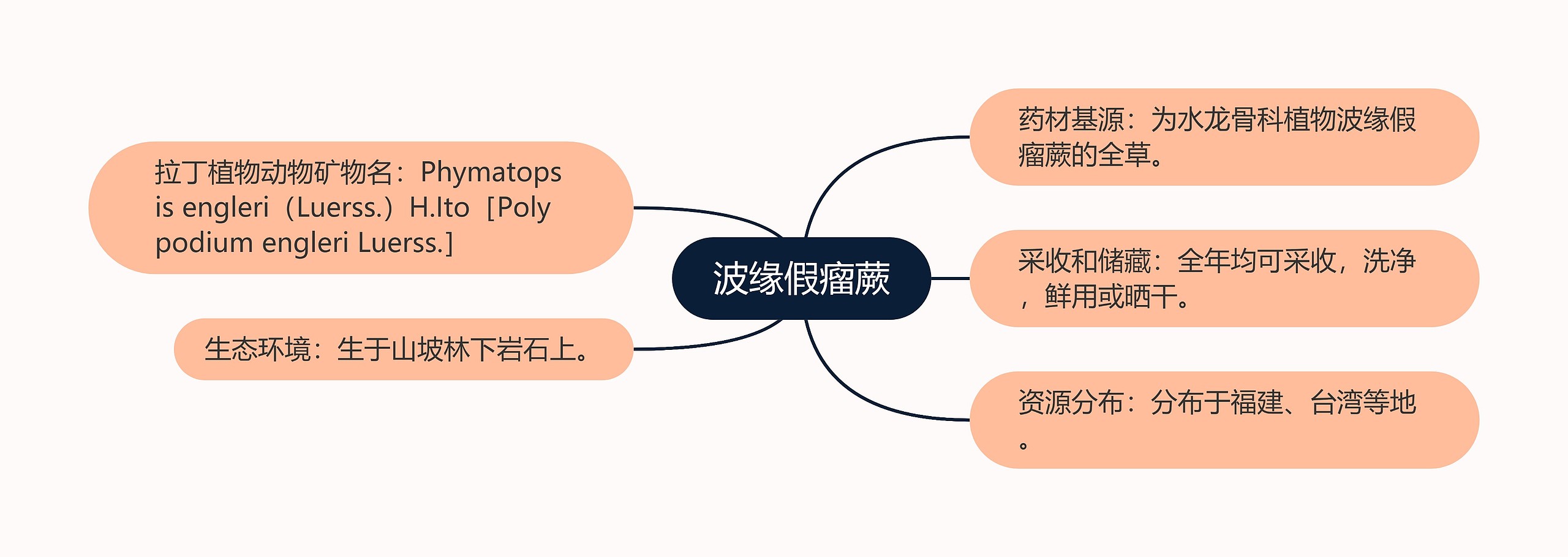 波缘假瘤蕨思维导图