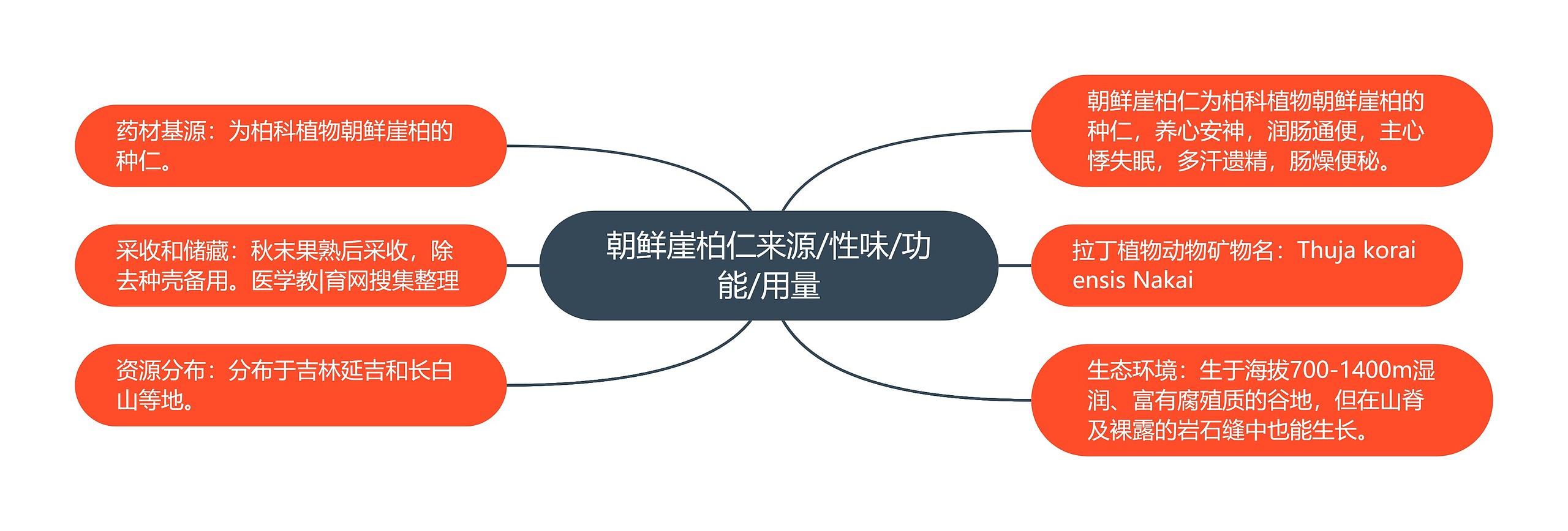 朝鲜崖柏仁来源/性味/功能/用量思维导图