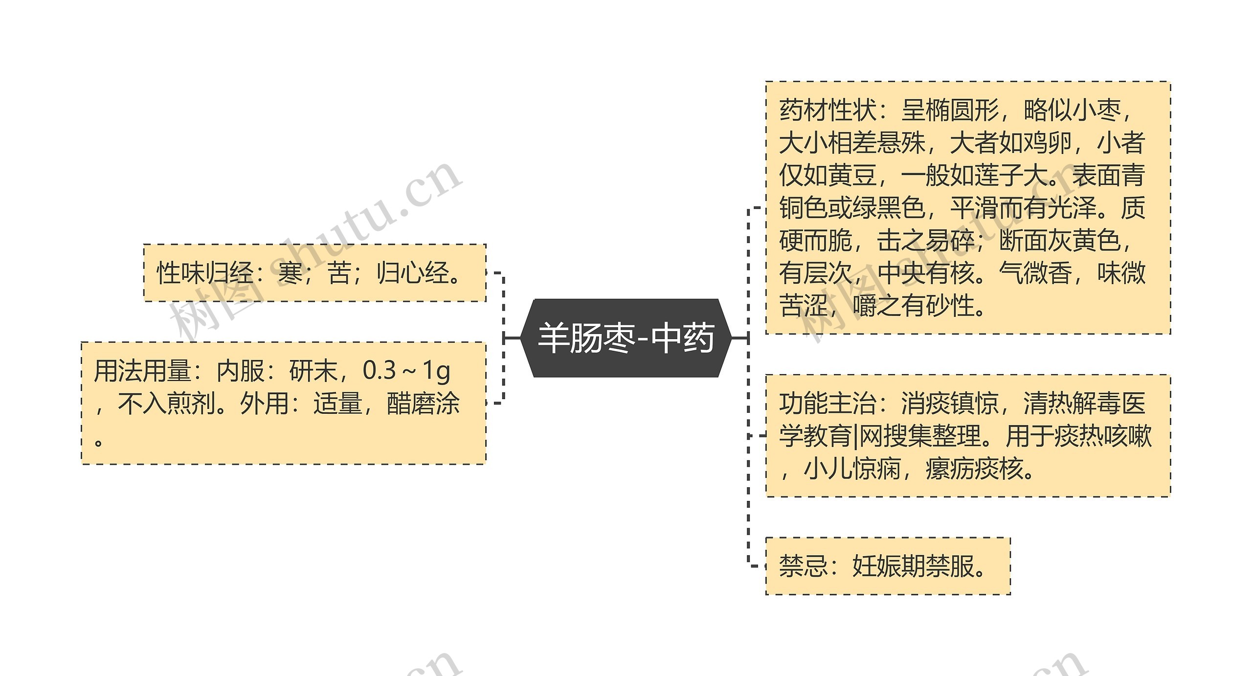 羊肠枣-中药思维导图