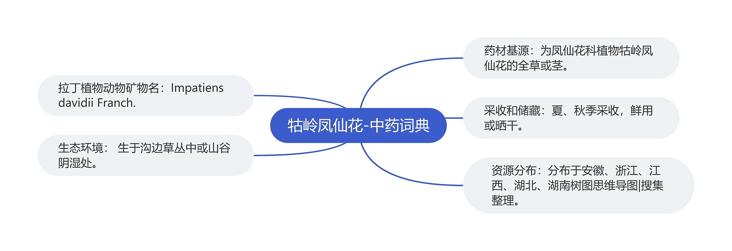 牯岭凤仙花-中药词典 牯岭凤仙花-中药词典