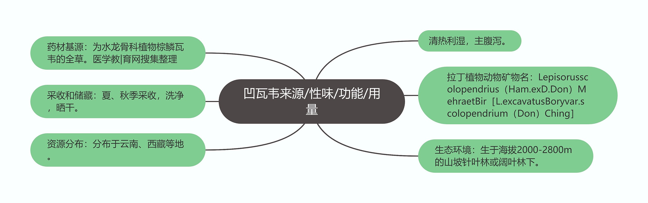 凹瓦韦来源/性味/功能/用量 凹瓦韦来源/性味/功能/用量