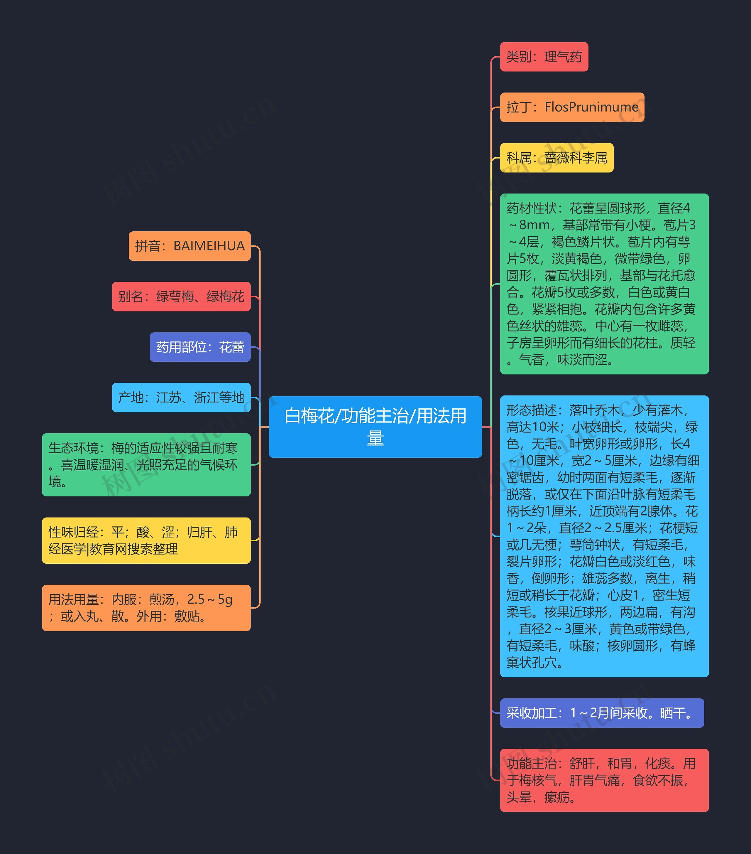 白梅花/功能主治/用法用量思维导图
