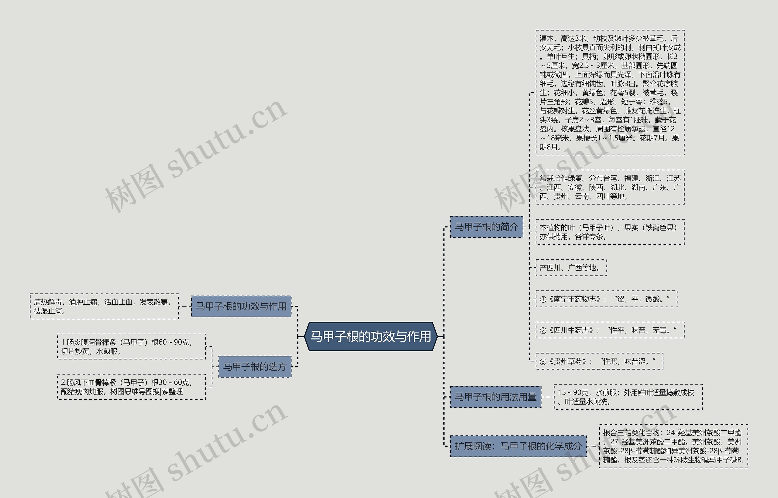 马甲子根的功效与作用思维导图