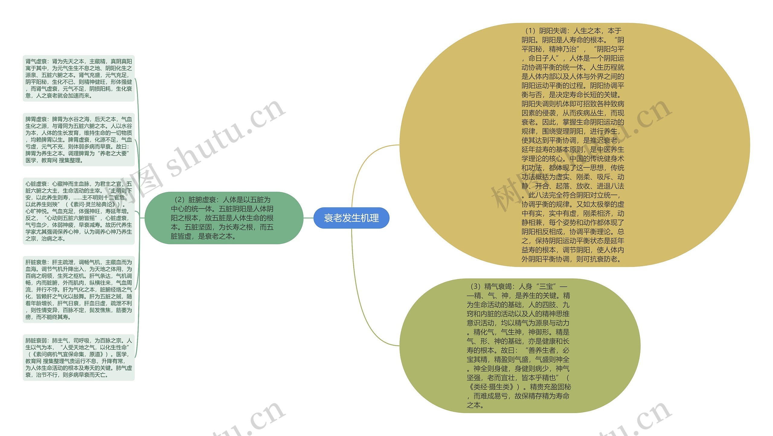 衰老发生机理思维导图