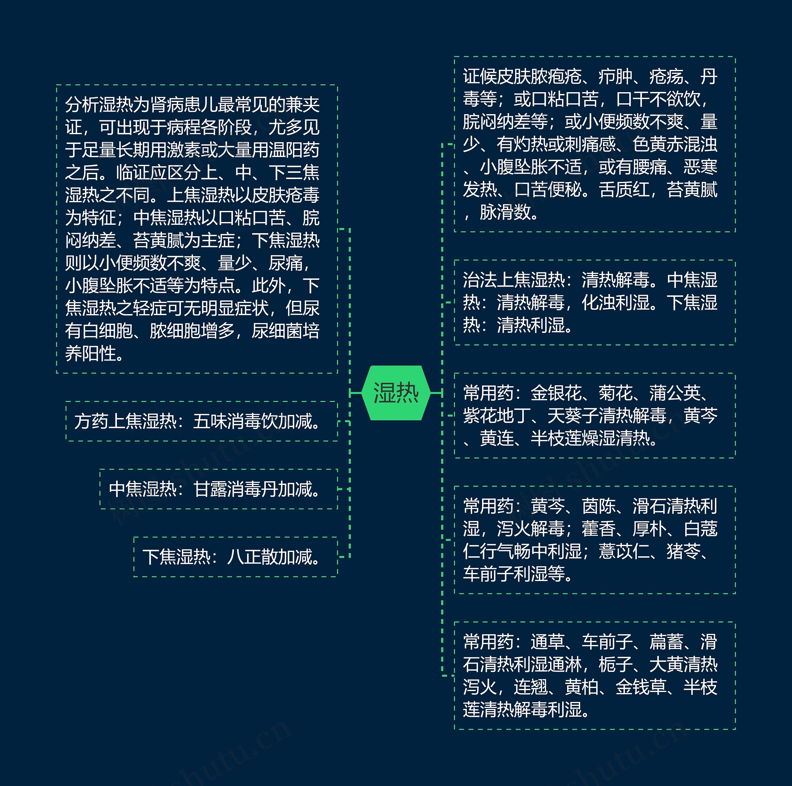 湿热思维导图