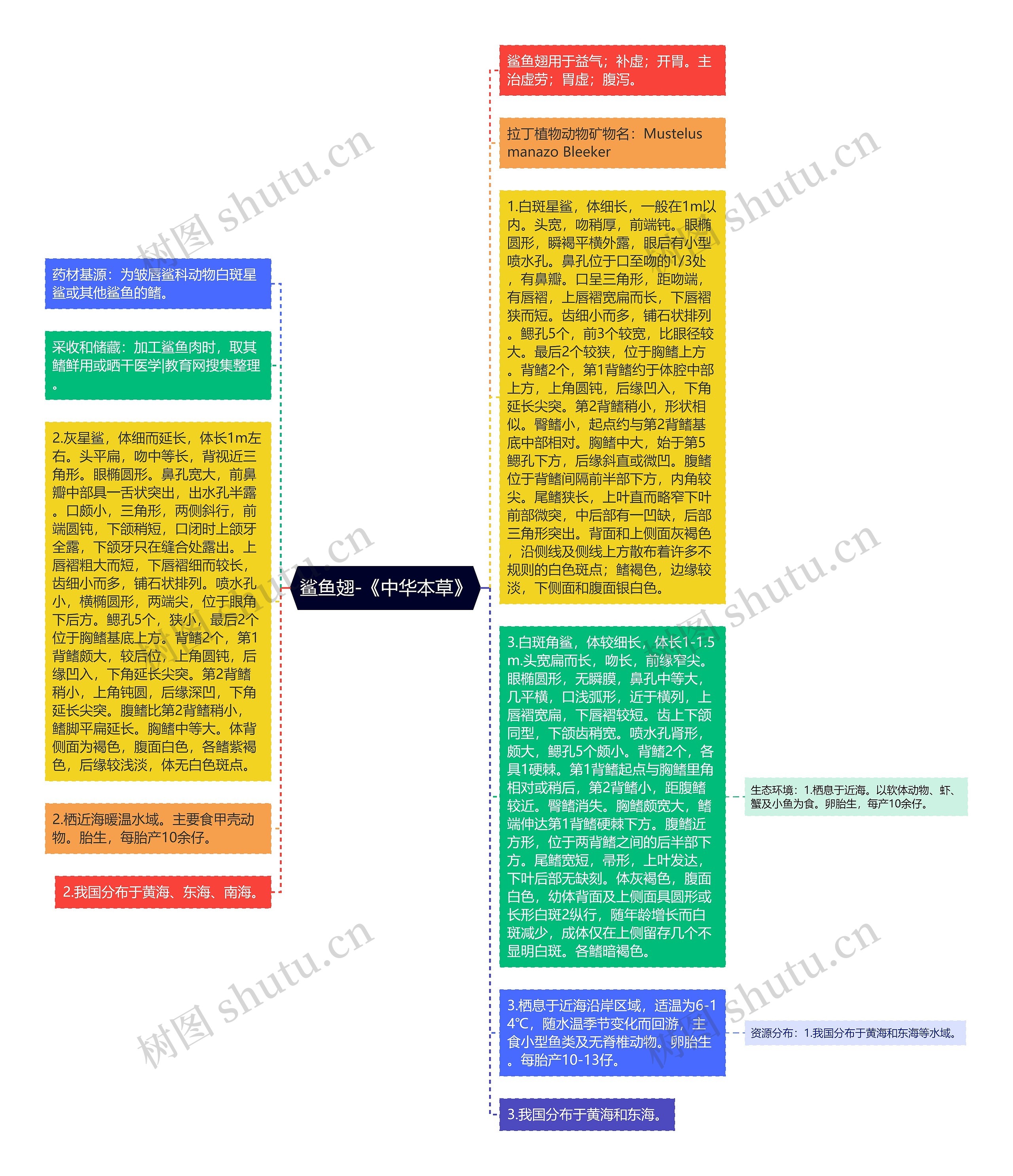 鲨鱼翅-《中华本草》思维导图