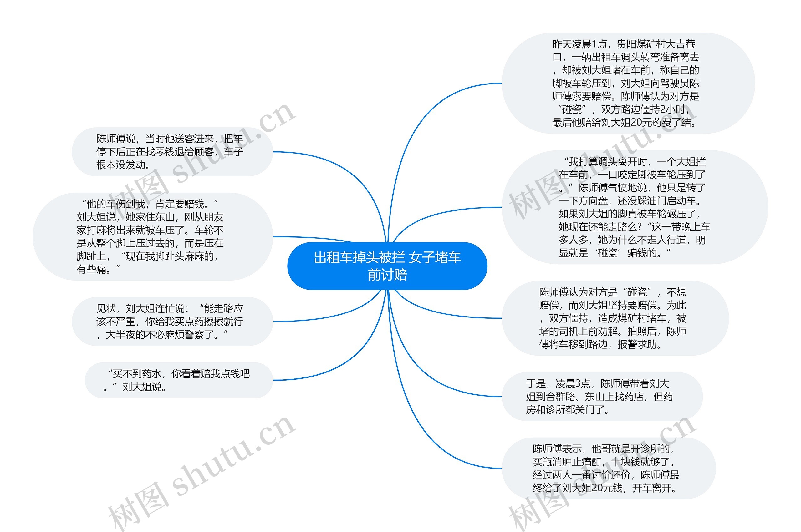 出租车掉头被拦 女子堵车前讨赔思维导图