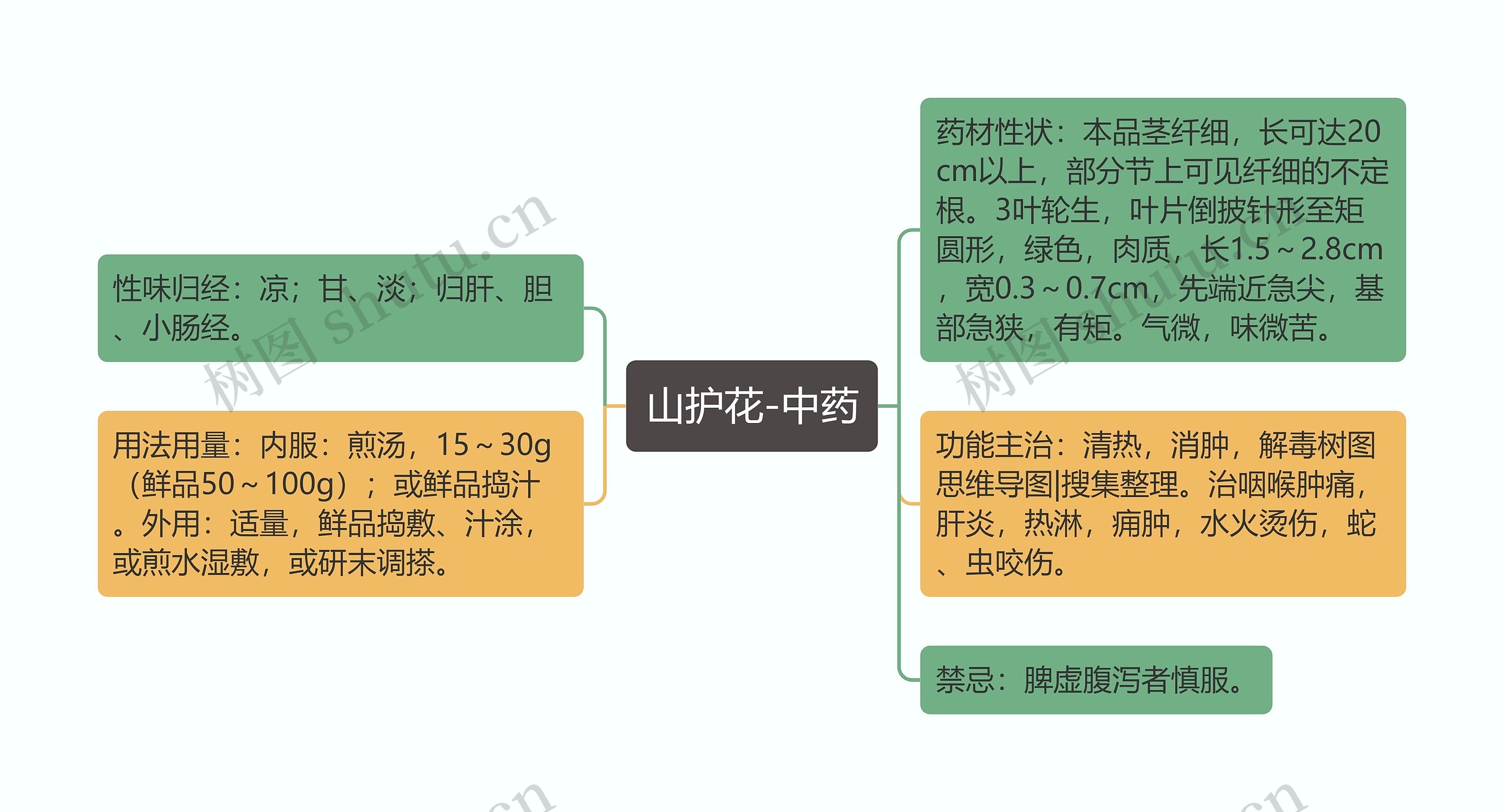 山护花-中药思维导图